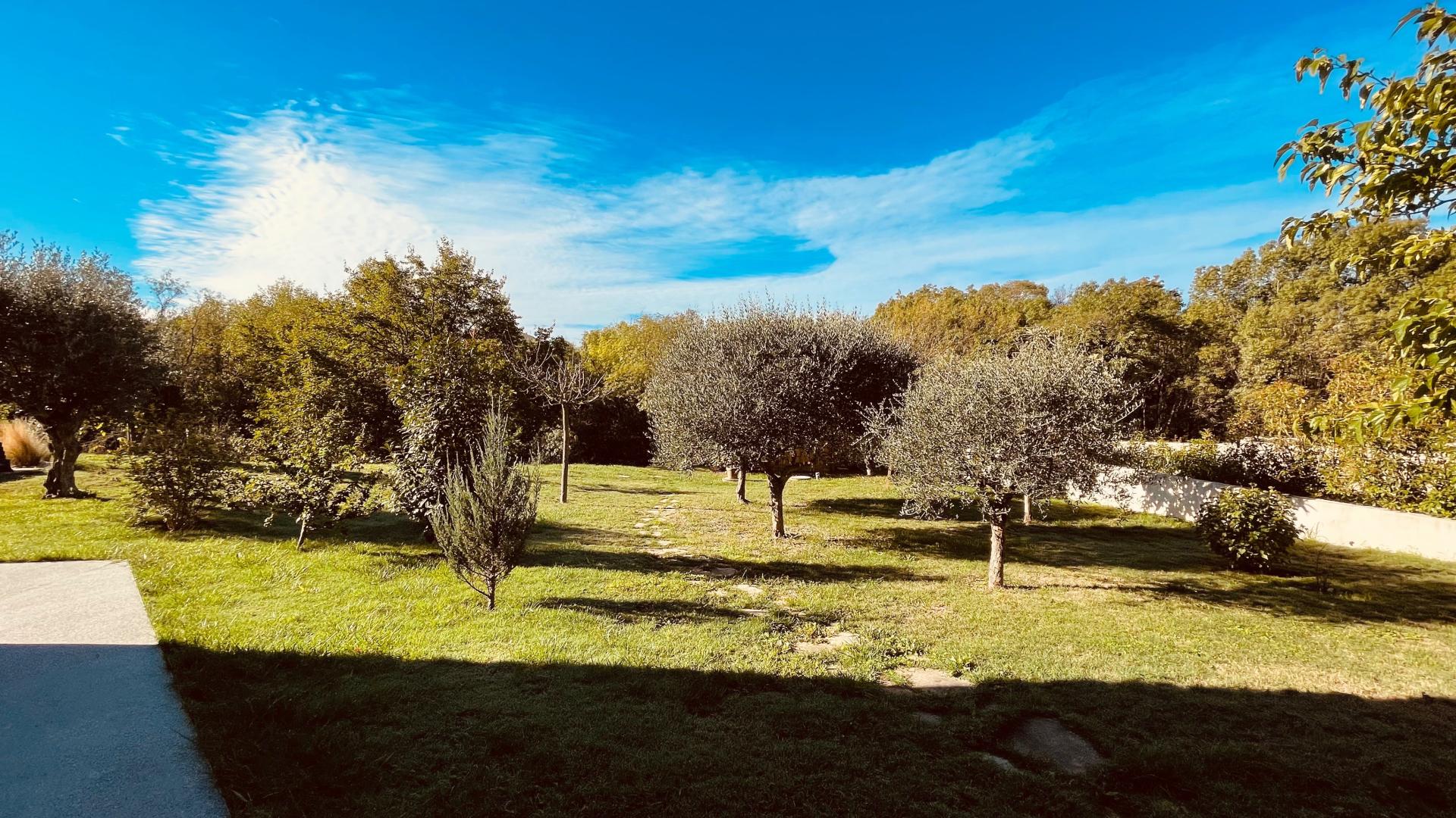 Photo 10 of the listing.