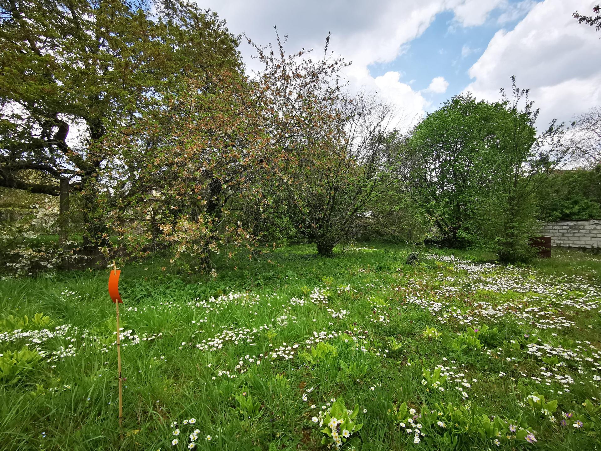 Photo-terrain