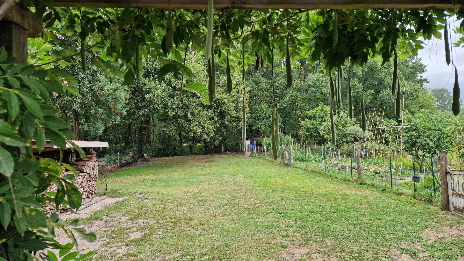 Photo 11 de l'annonce.