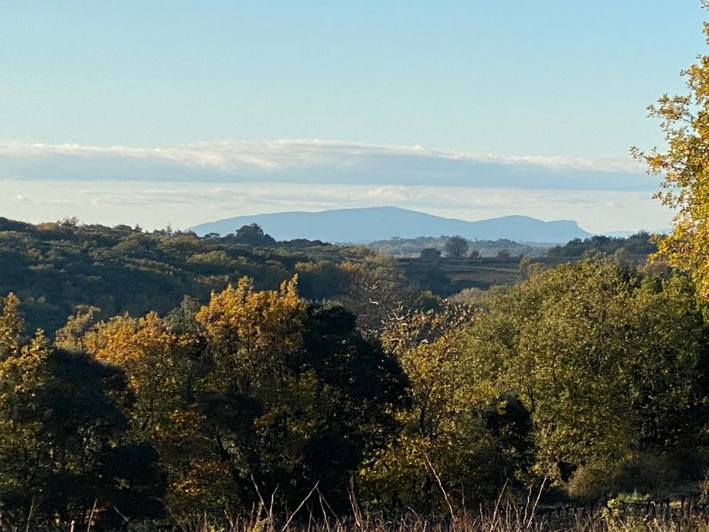 Photo-terrain