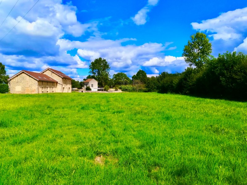 Photo 5 of the listing.