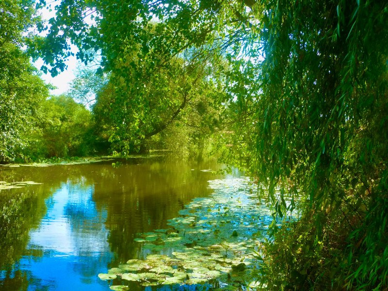 Photo 6 of the listing.