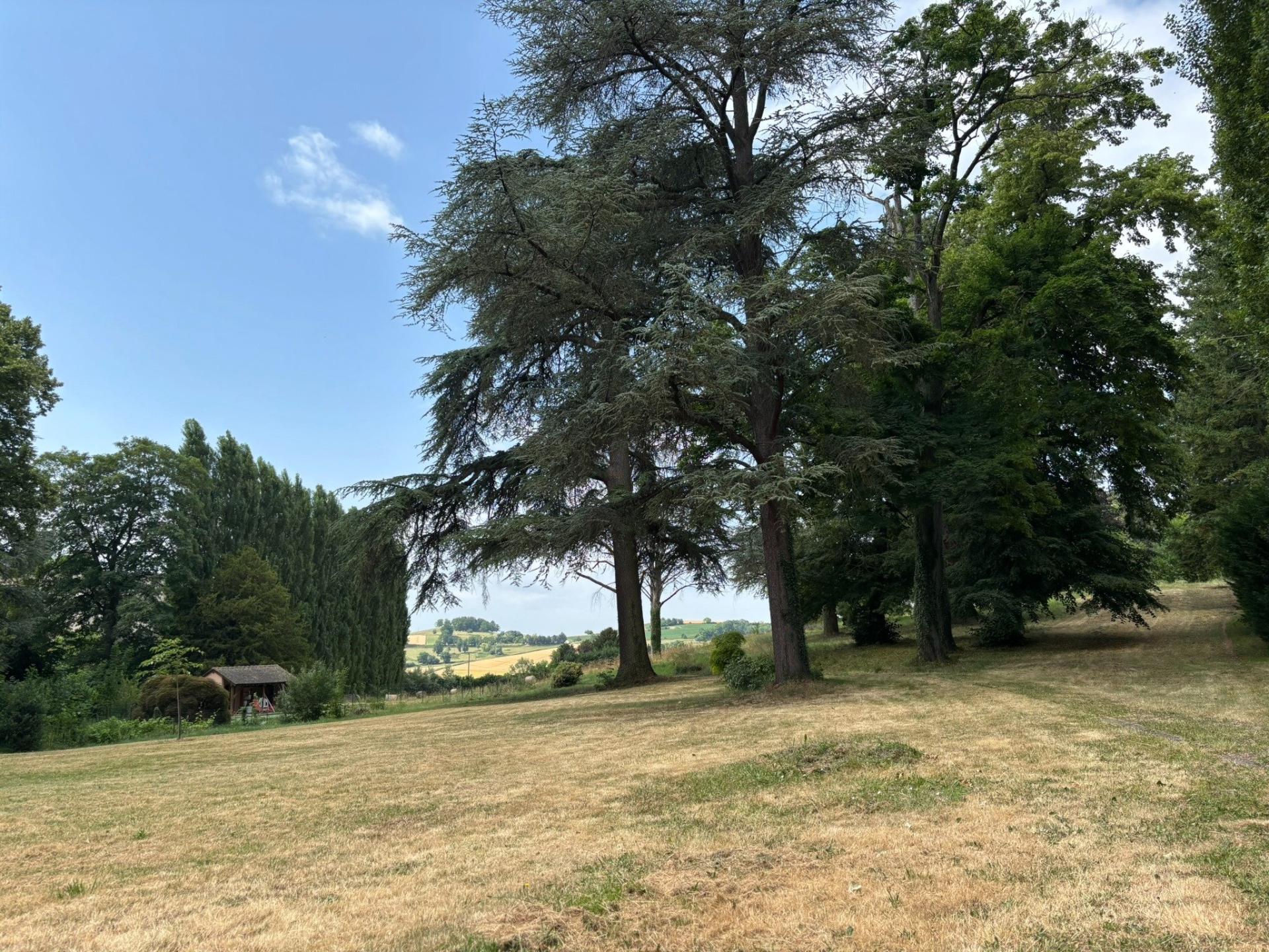 Foto 15 del anuncio.