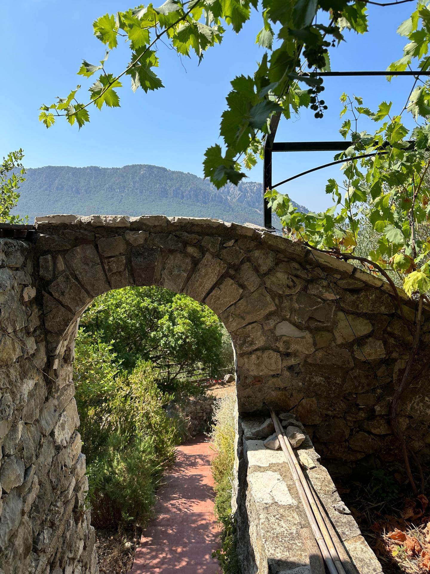 Photo 15 of the listing.