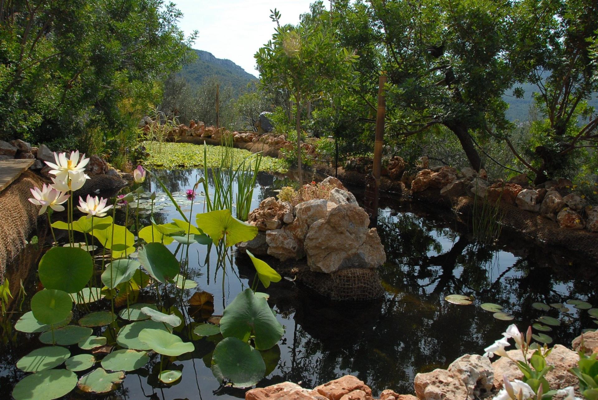 Photo 3 of the listing.