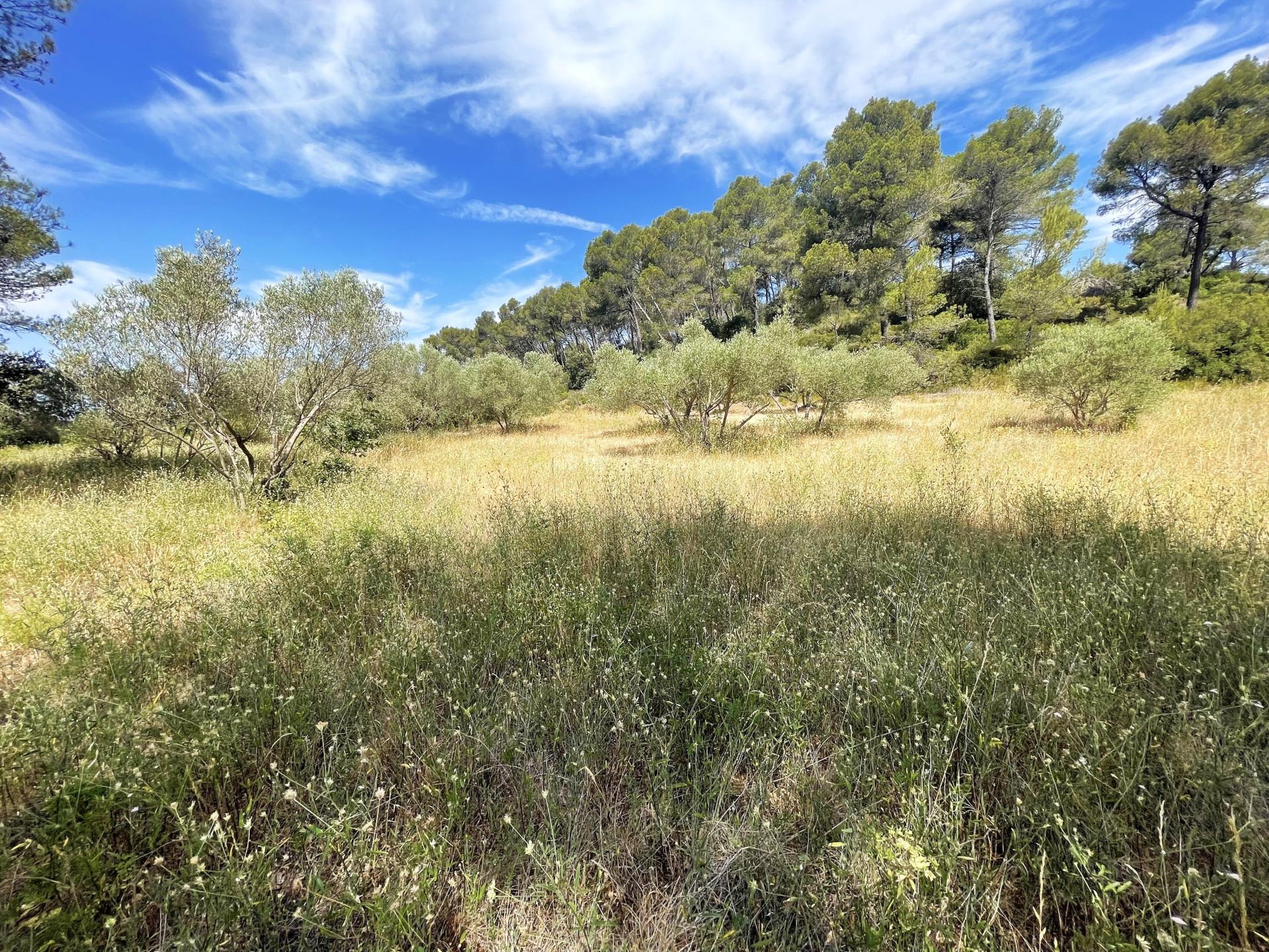 Photo 16 of the listing.