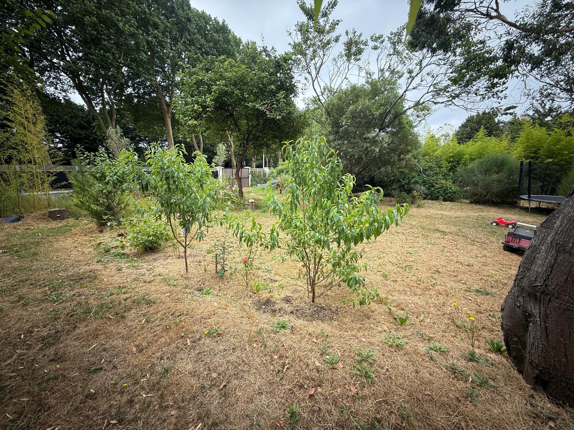 Photo-terrain