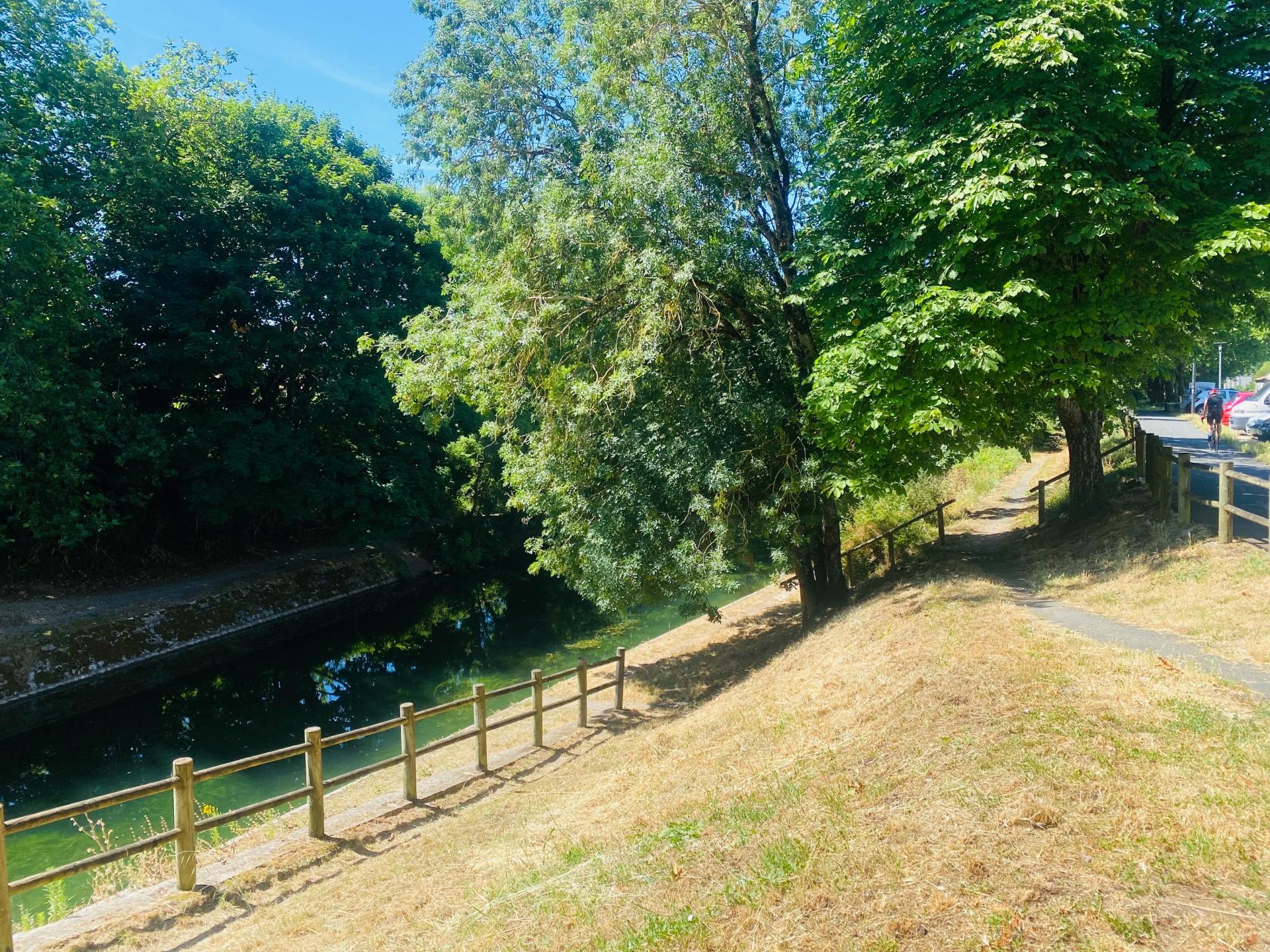 Photo 18 of the listing.