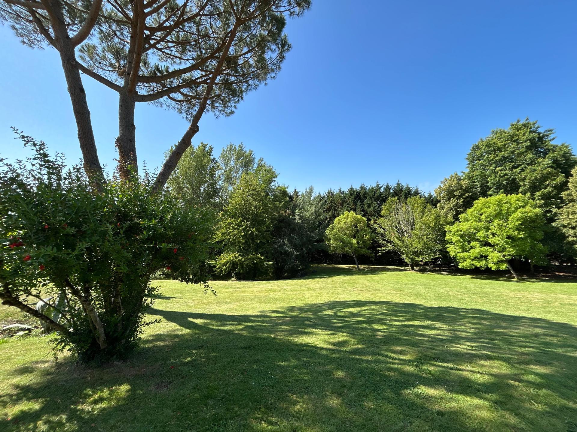 Photo 19 de l'annonce.