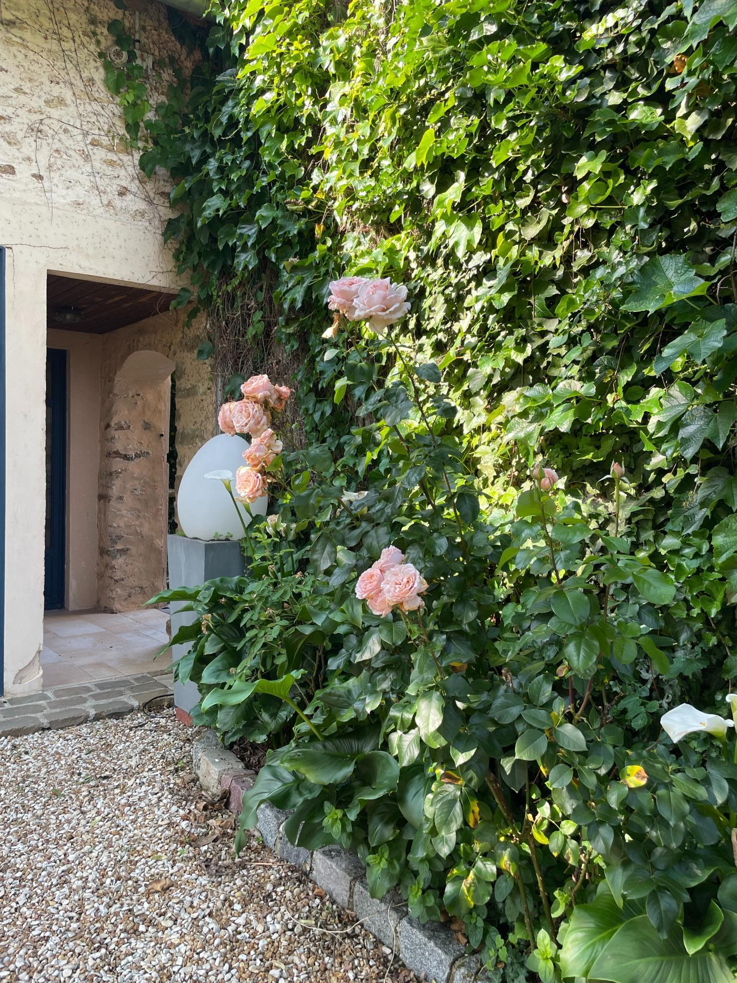 Photo 18 of the listing.