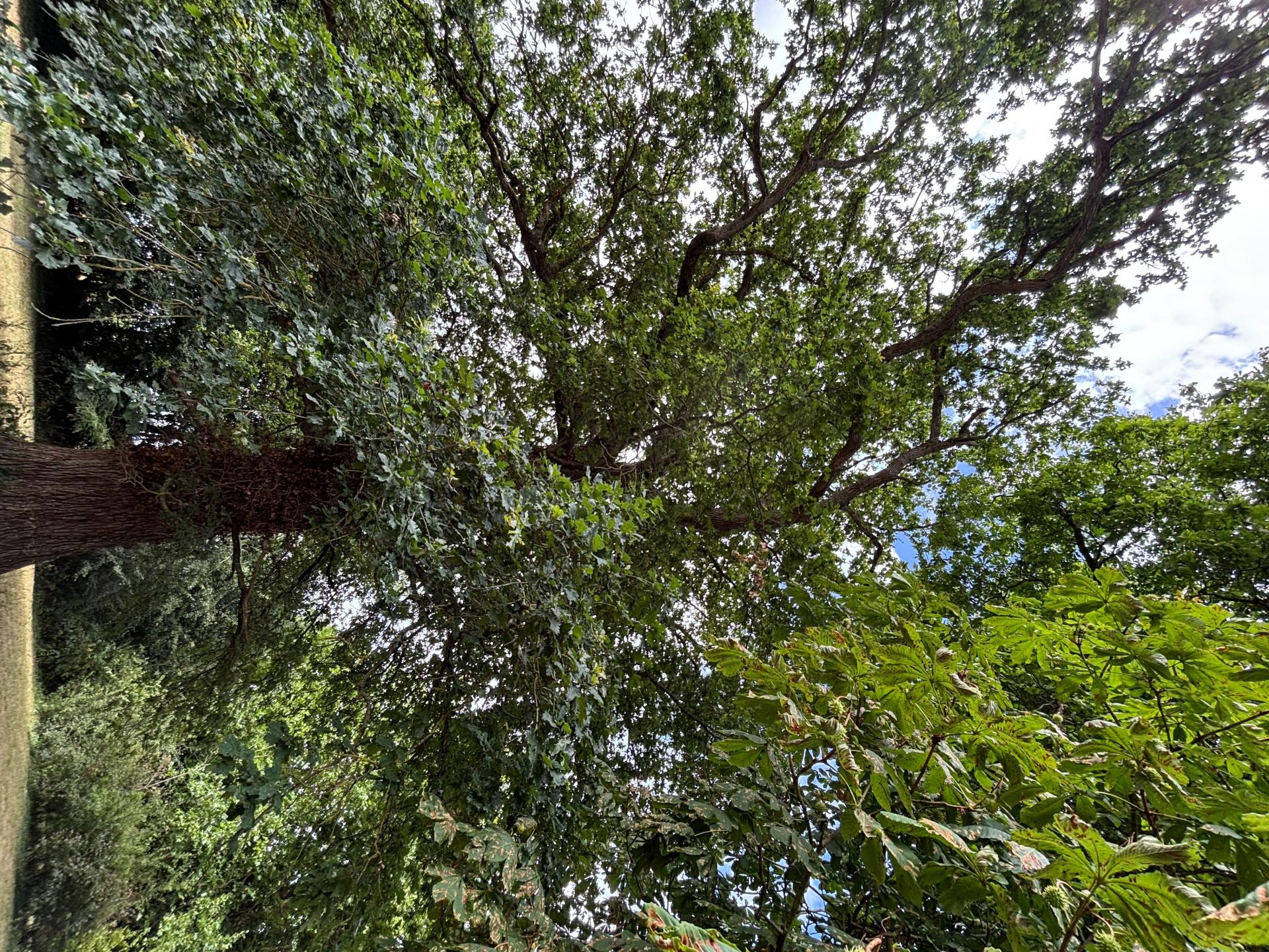 Photo 6 de l'annonce.