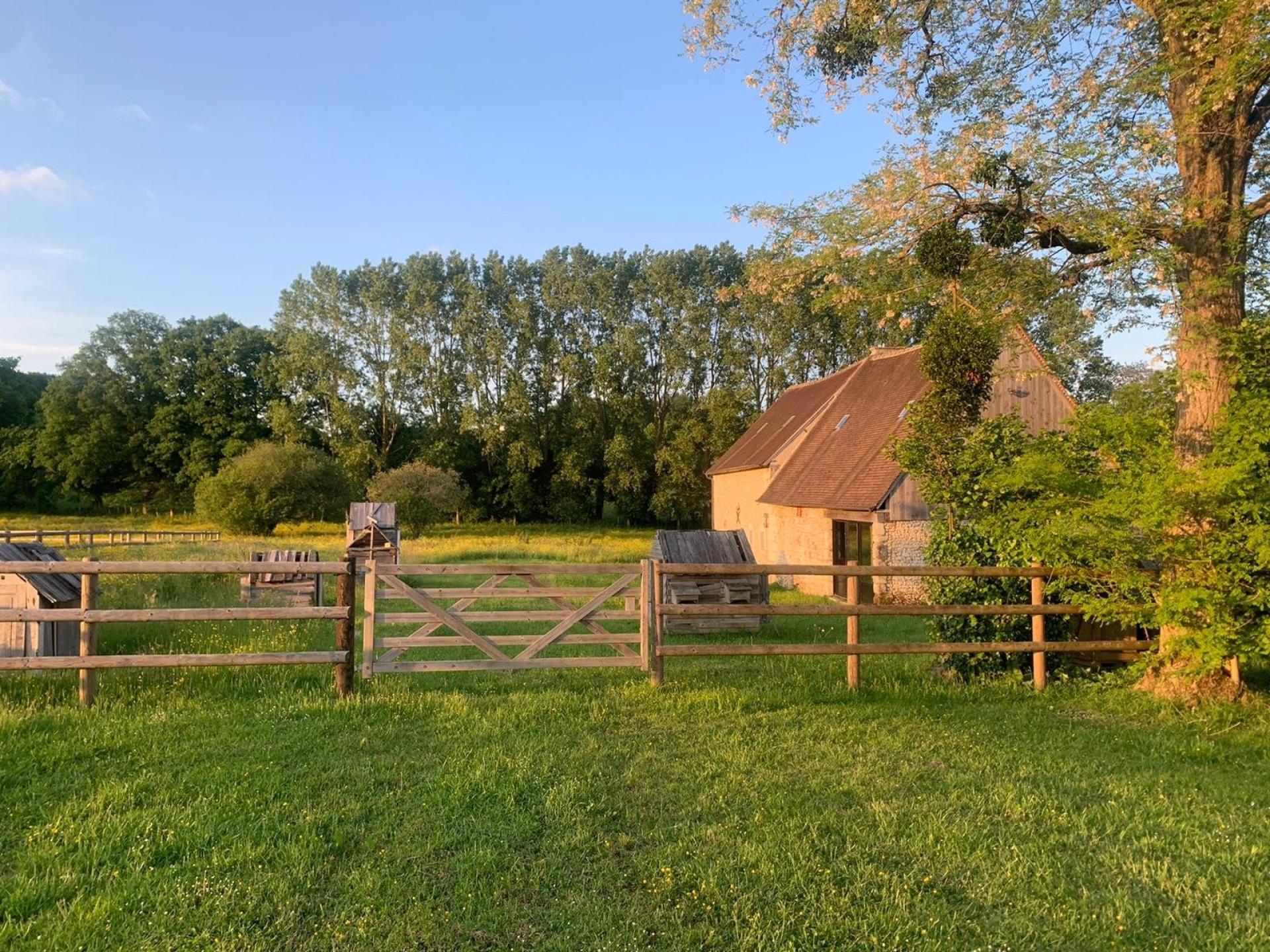 Photo 10 of the listing.