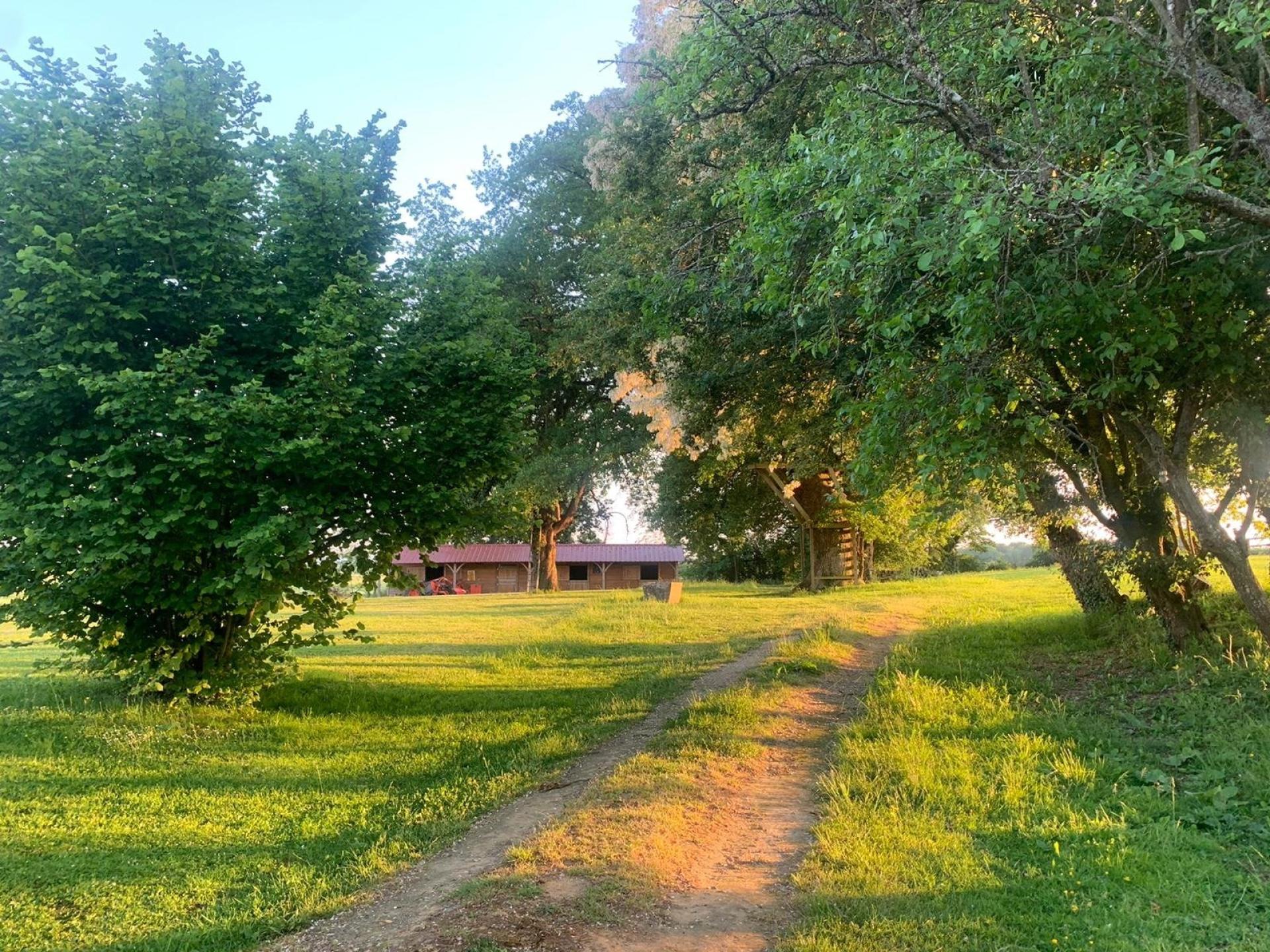 Photo 9 of the listing.