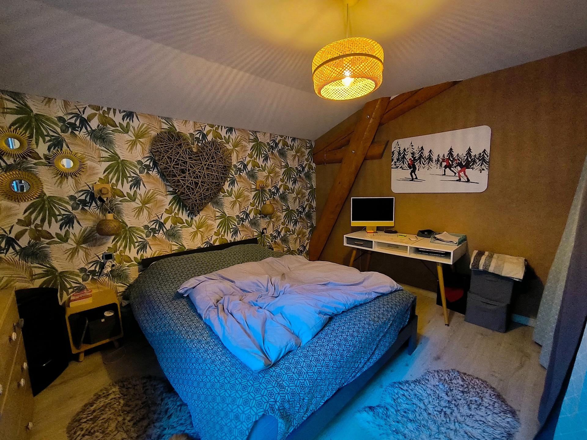 Photo 11 de l'annonce.