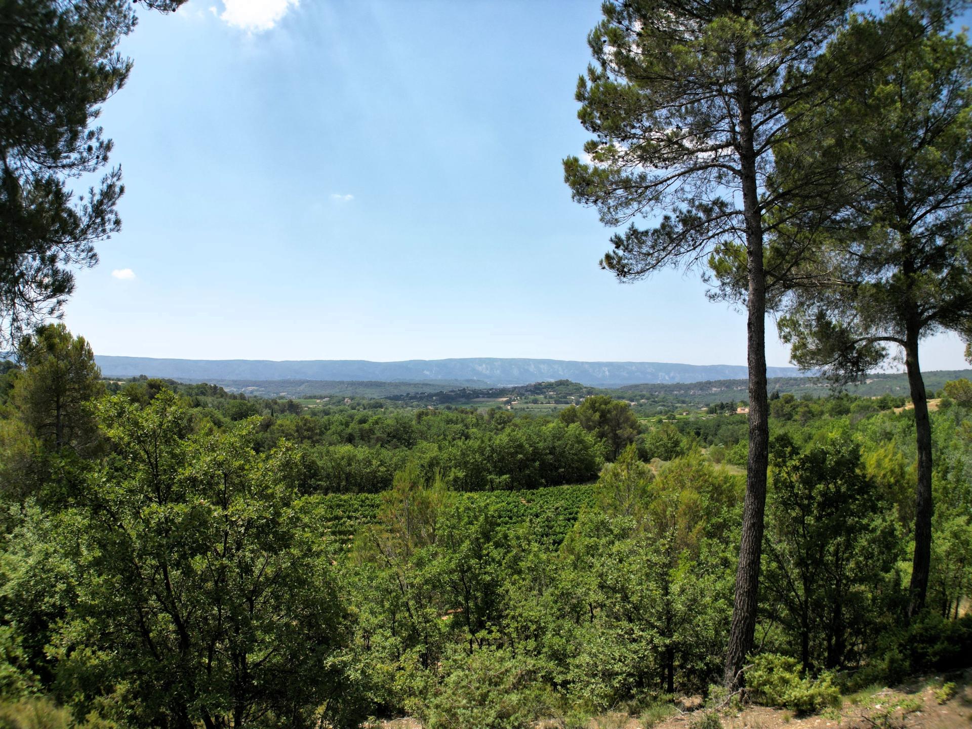 Photo 11 de l'annonce.