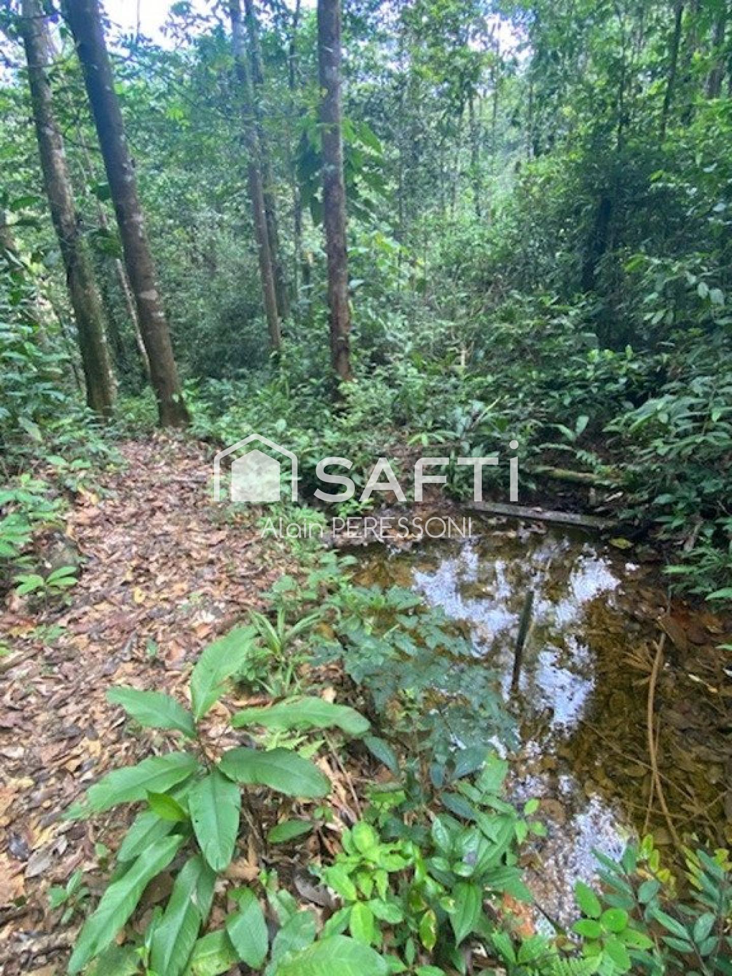Photo-terrain