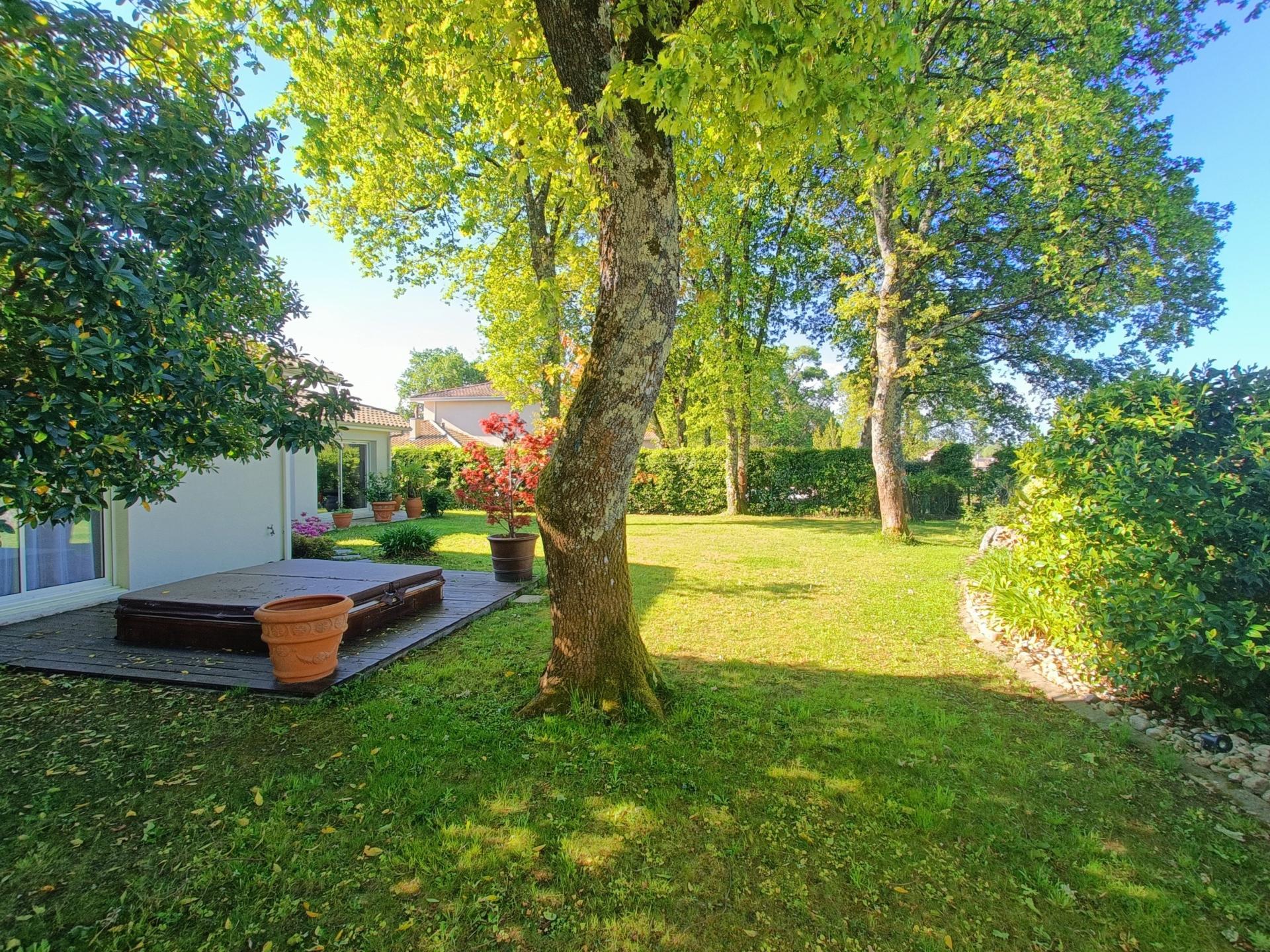 Photo 3 de l'annonce.