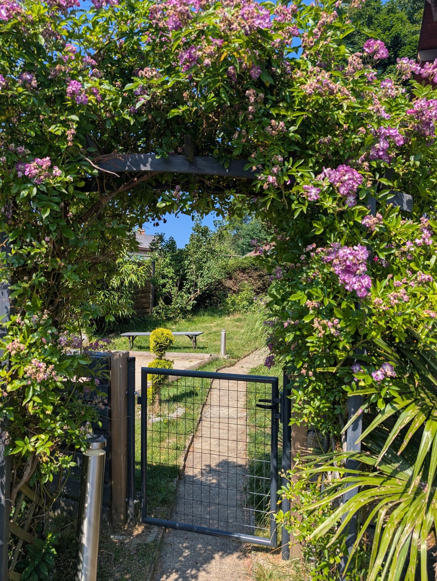 Photo 3 de l'annonce.