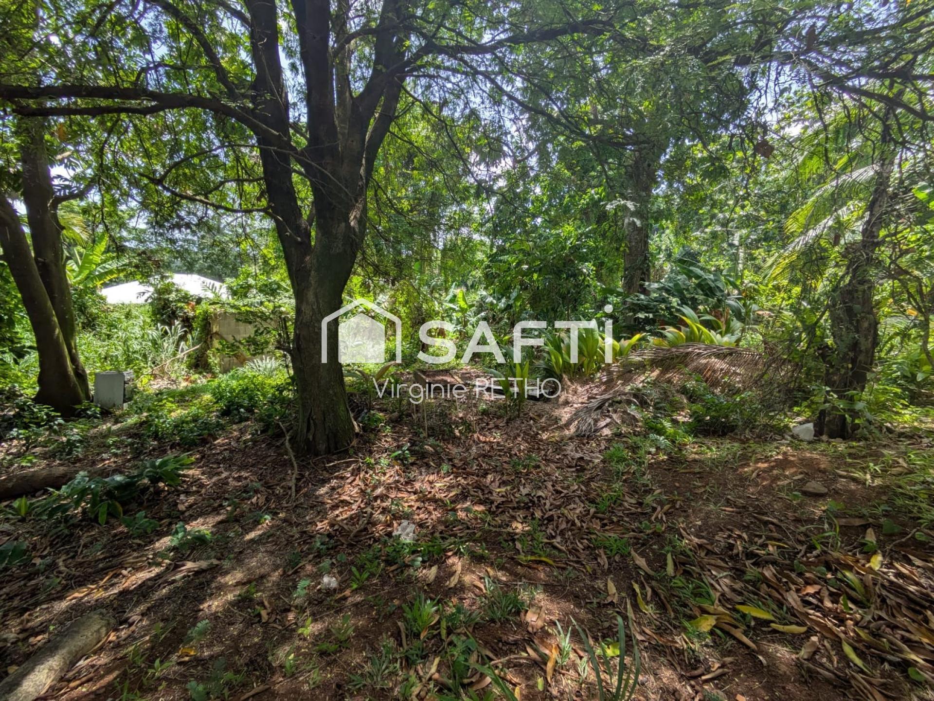 Photo-terrain