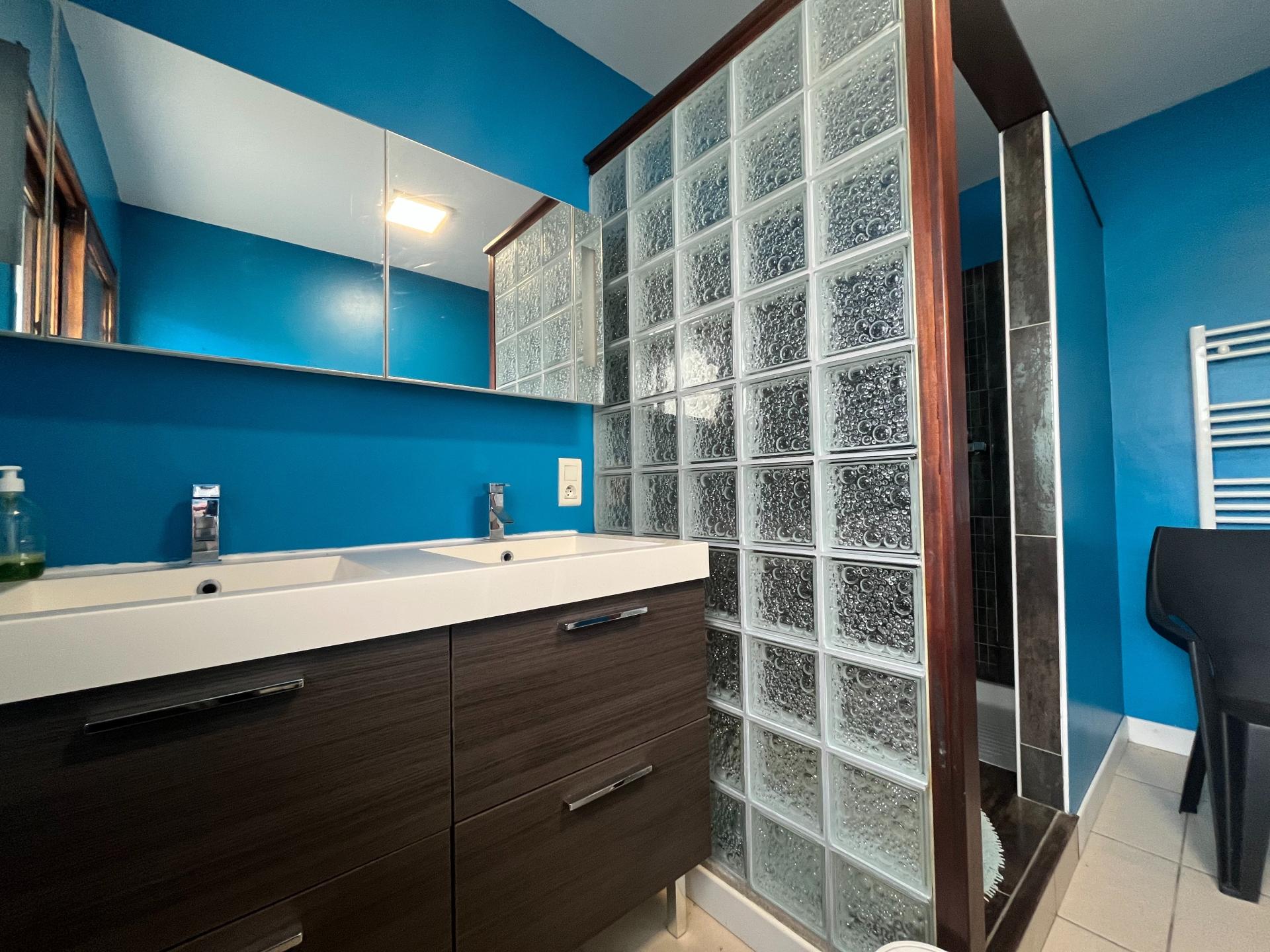 Photo 11 de l'annonce.