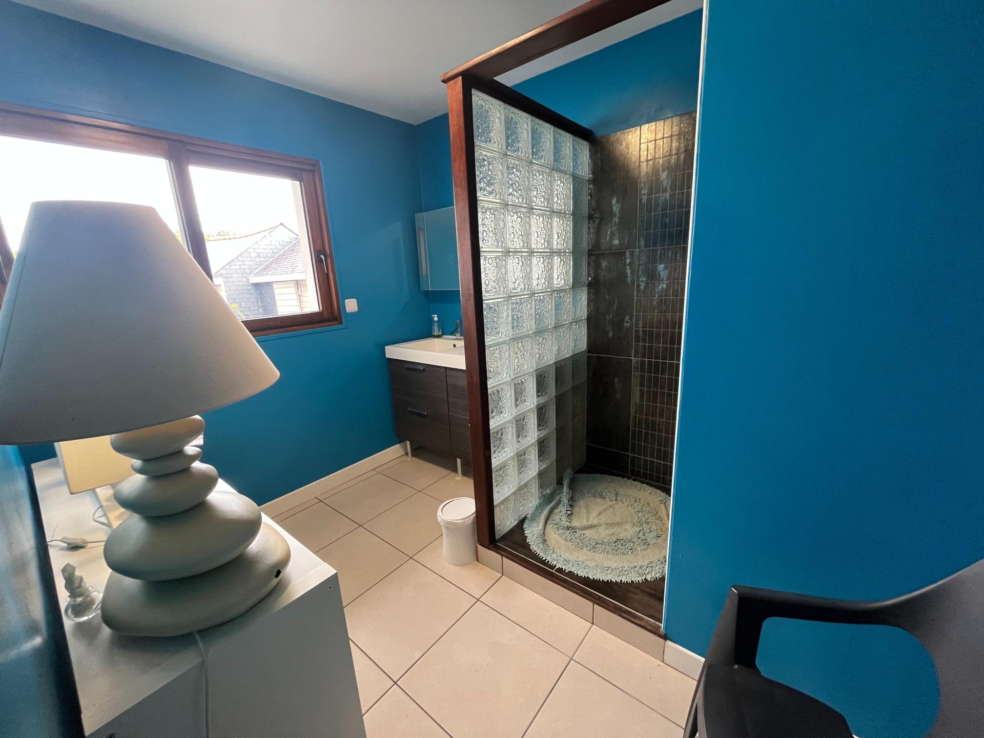 Photo 10 de l'annonce.