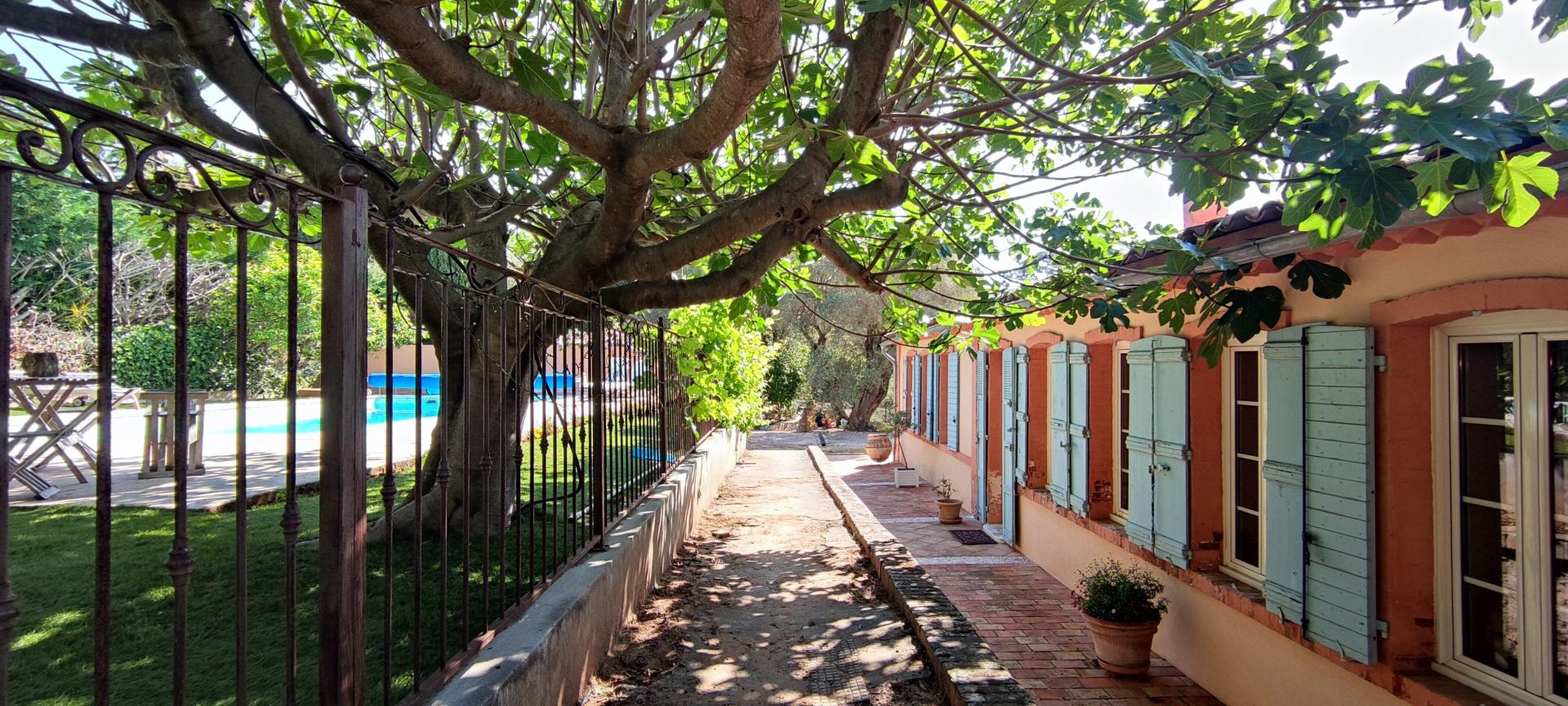 Photo 3 de l'annonce.