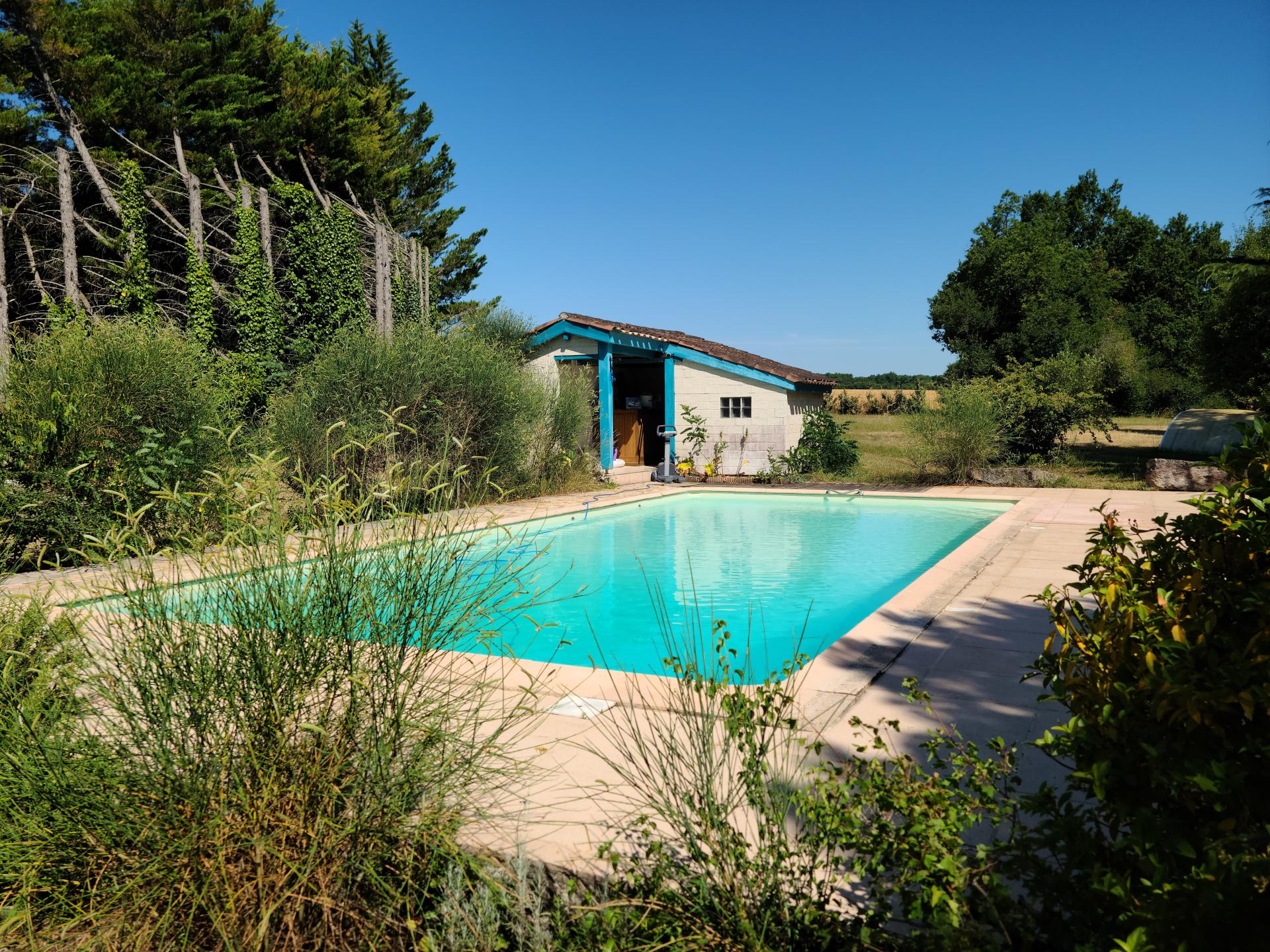 Photo 15 de l'annonce.