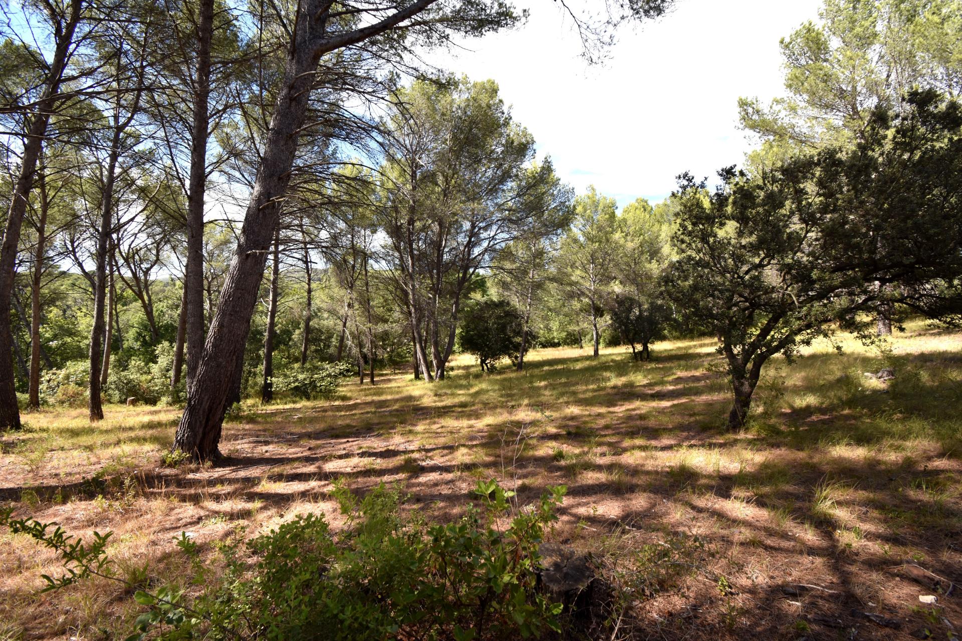 Photo 8 de l'annonce.