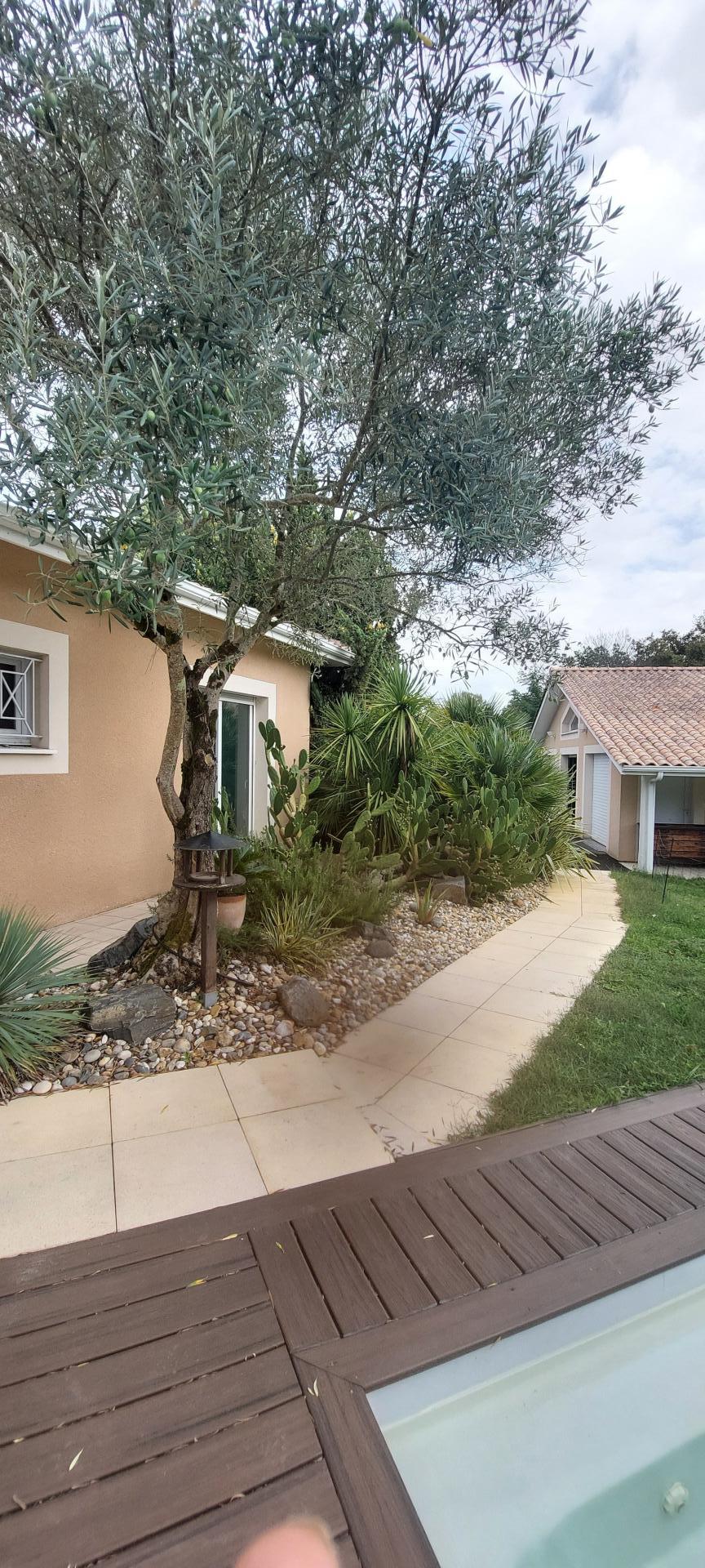 Photo 5 de l'annonce.