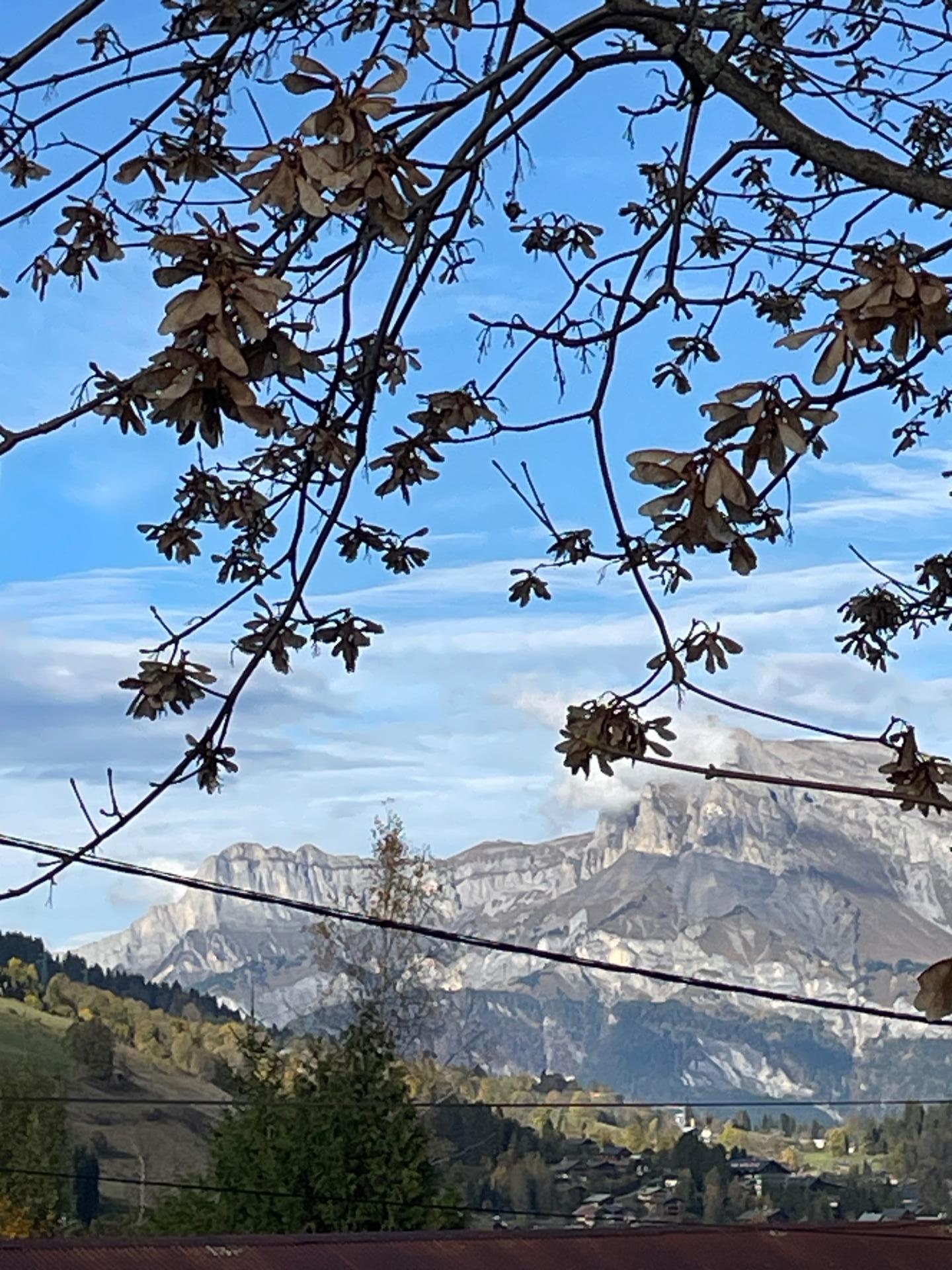 Photo 4 de l'annonce.