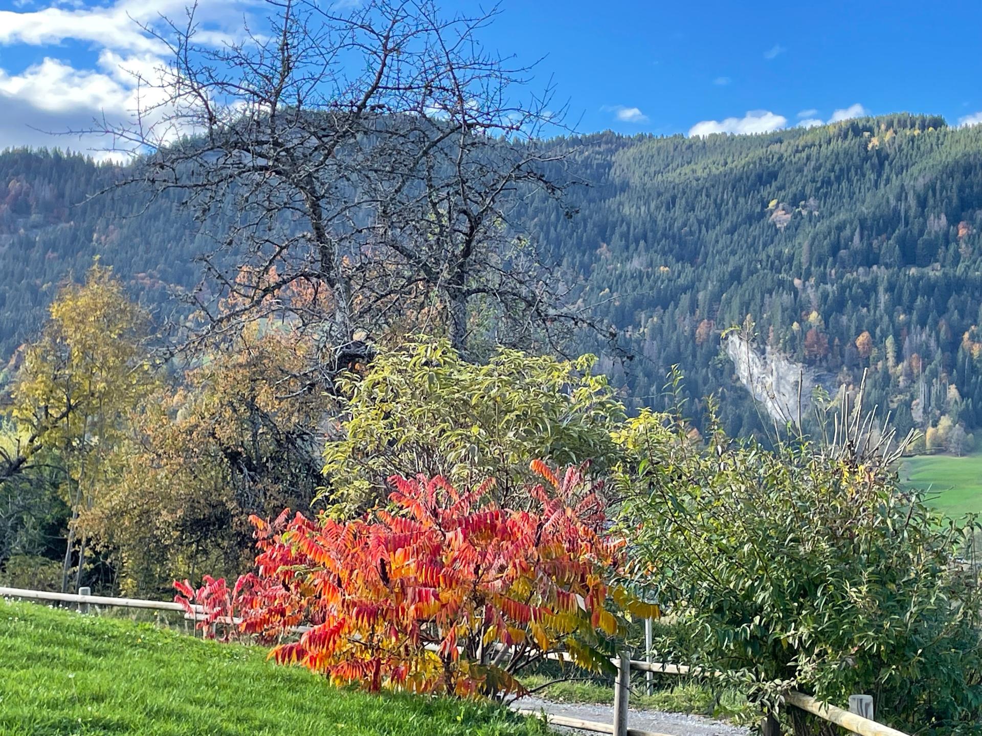 Photo 5 de l'annonce.