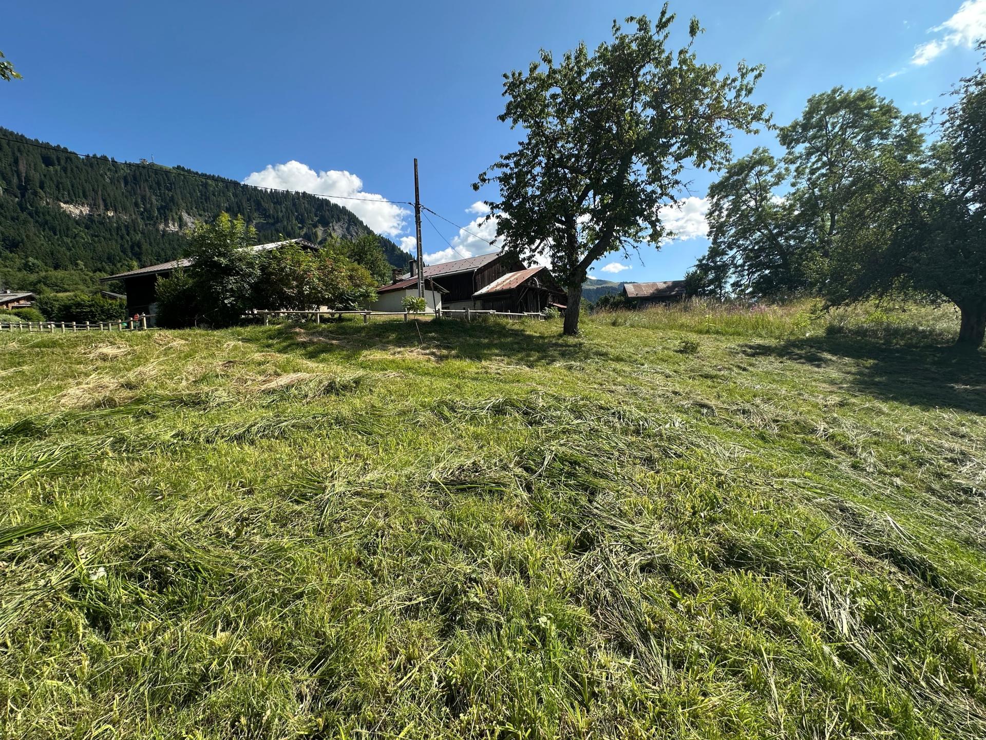 Photo 3 de l'annonce.