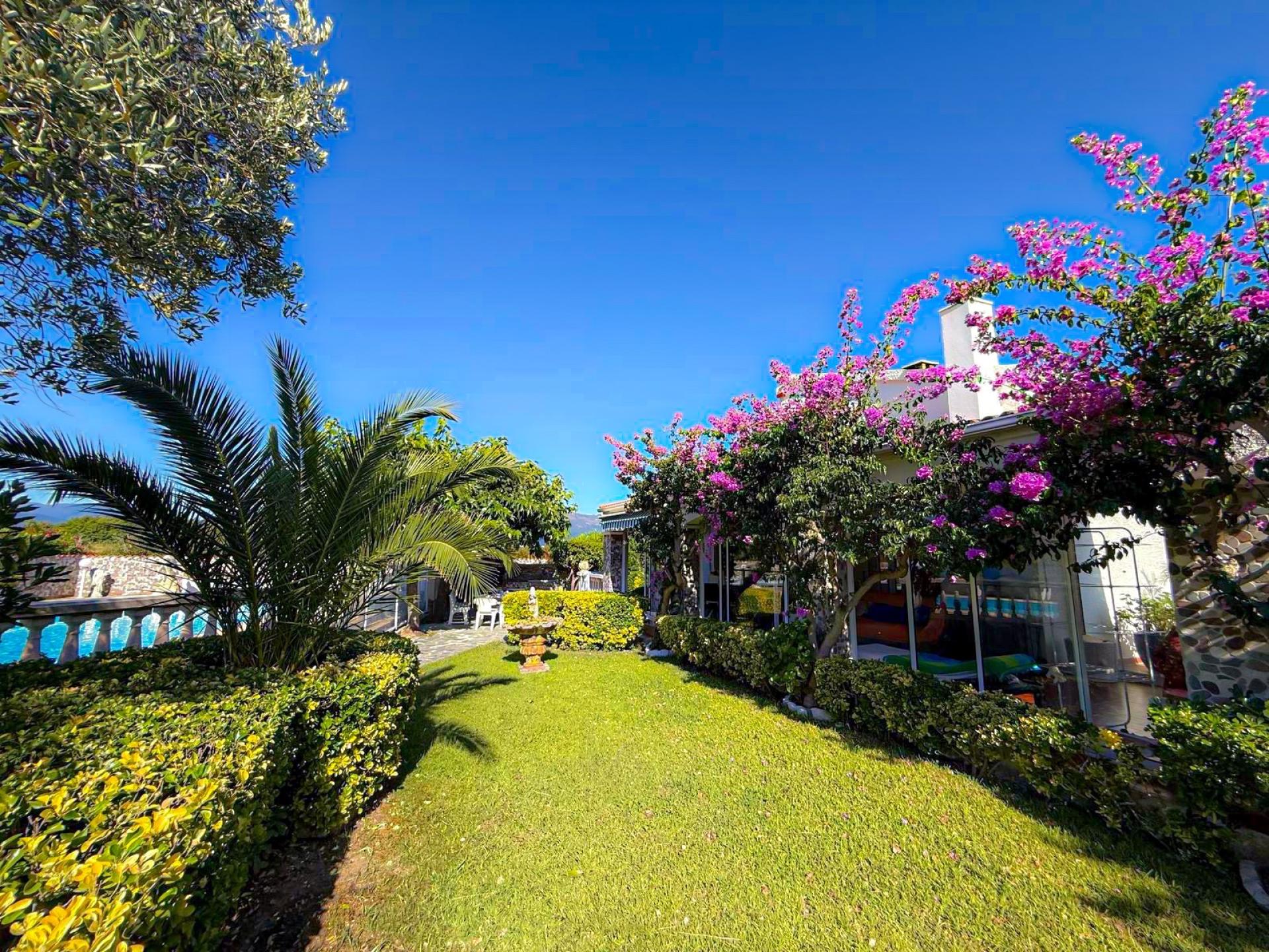 Photo 5 de l'annonce.