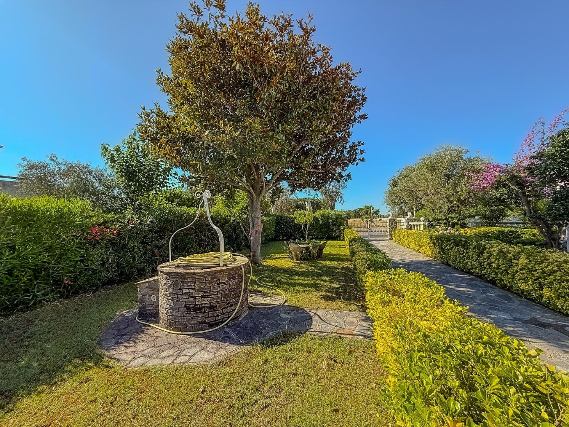 Photo 15 de l'annonce.