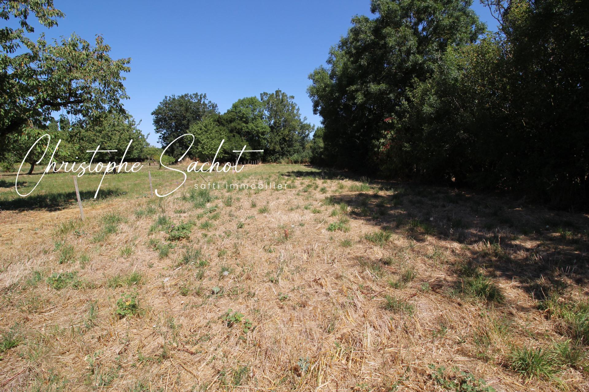 Photo-terrain