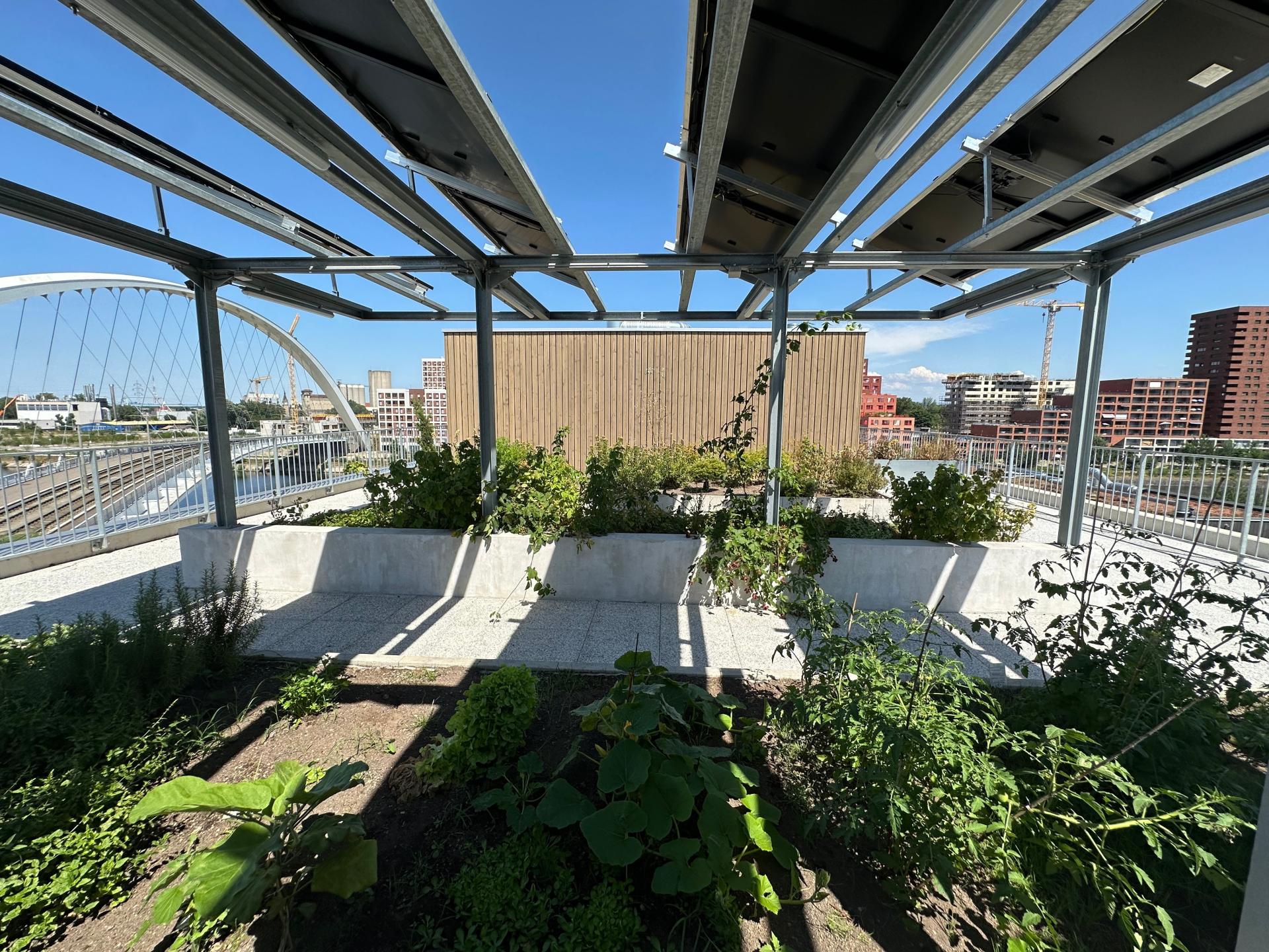 Photo 9 de l'annonce.