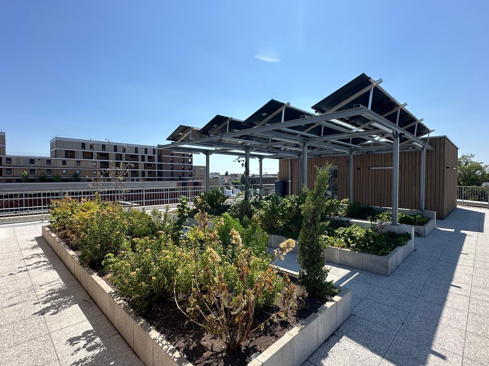 Photo 7 de l'annonce.