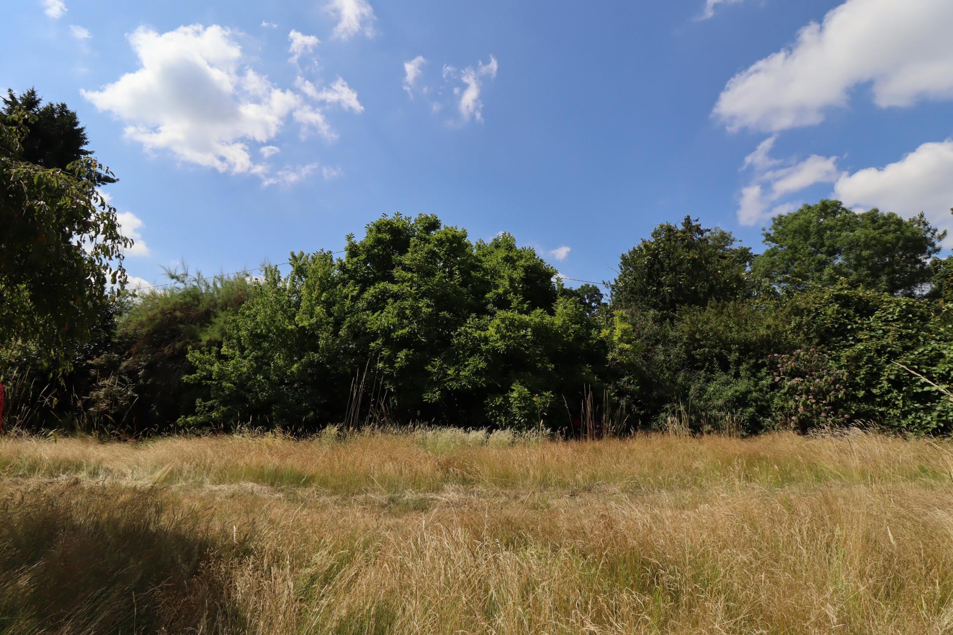 Photo-terrain