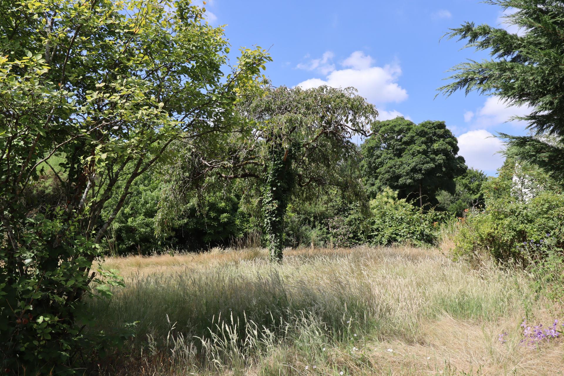Photo-terrain