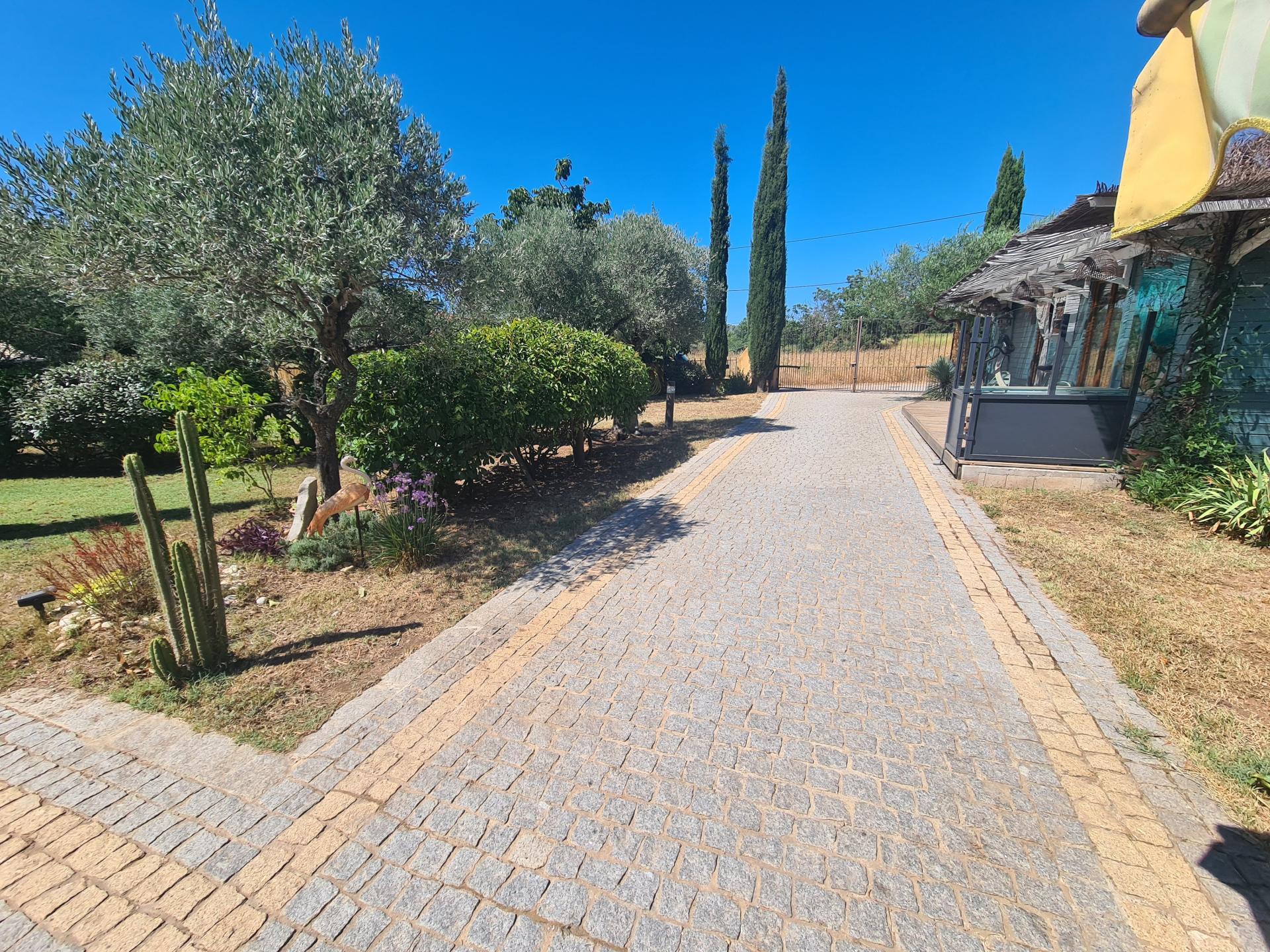 Photo 2 of the listing.