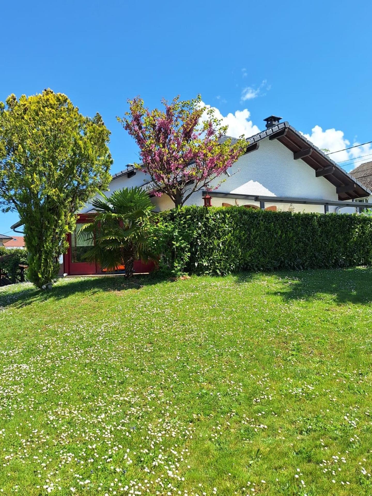 Foto 13 del anuncio.