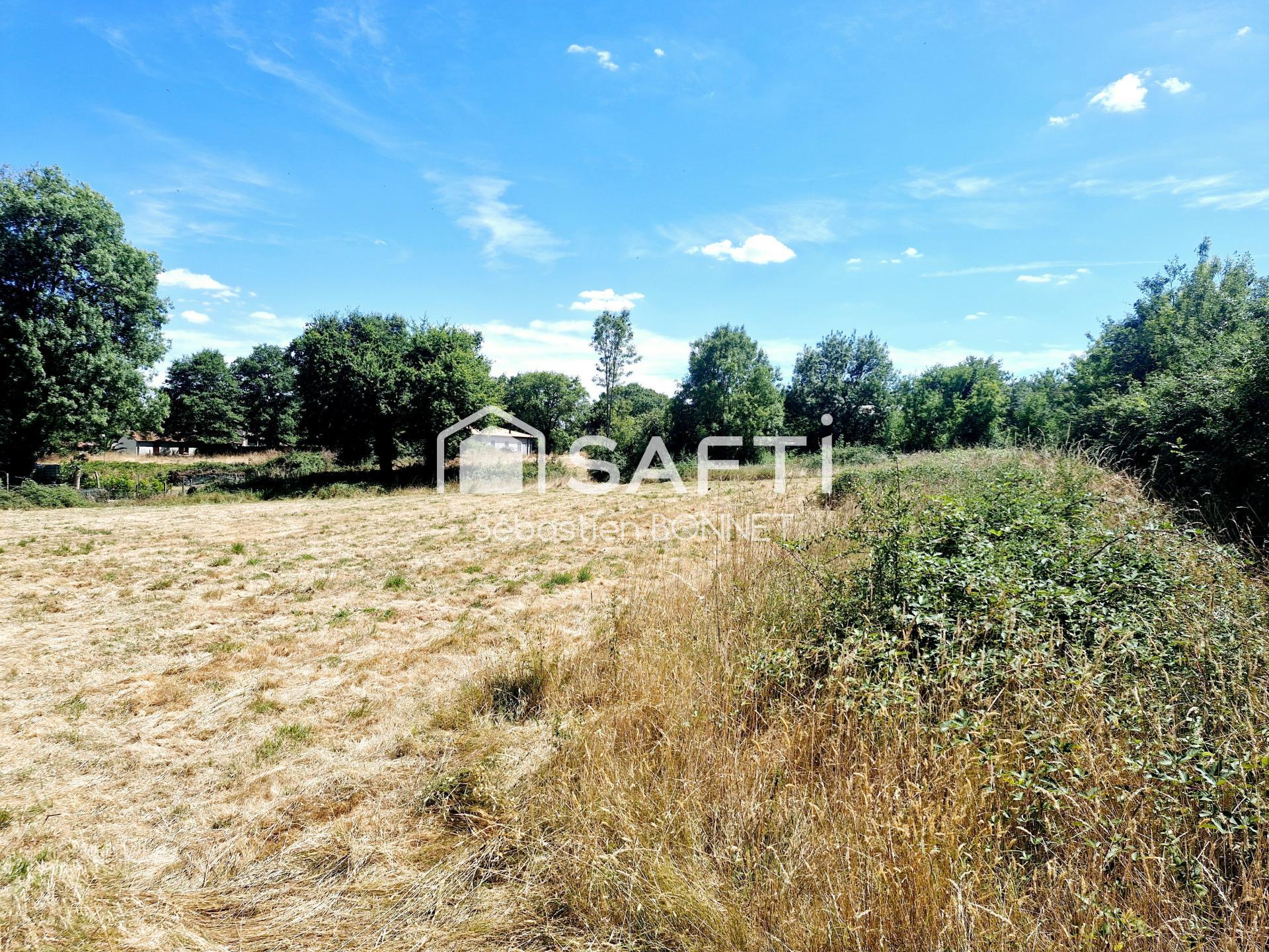 Photo-terrain
