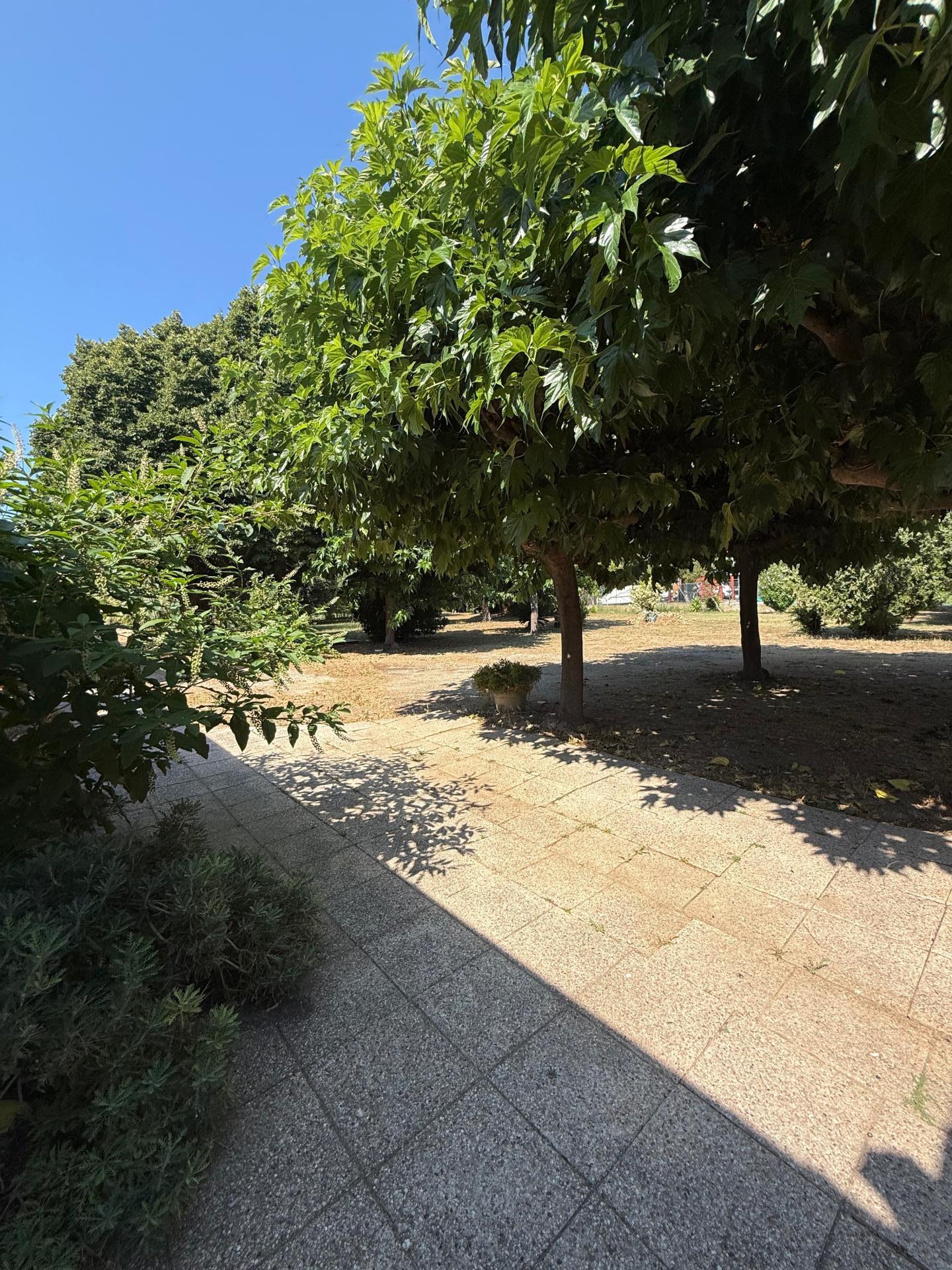 Photo 13 de l'annonce.