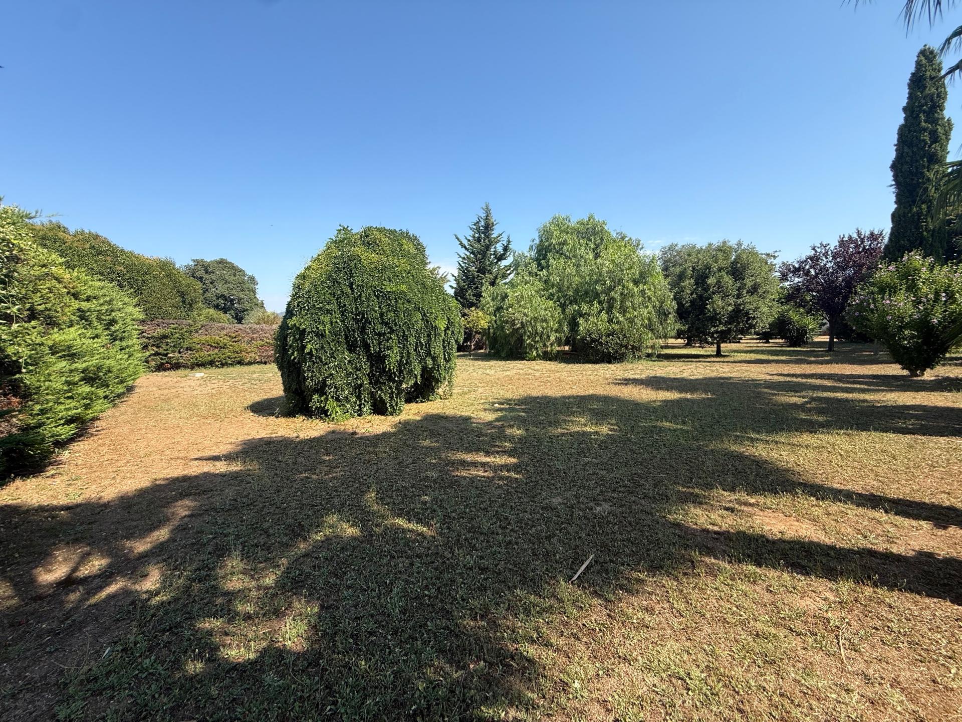 Photo 5 de l'annonce.