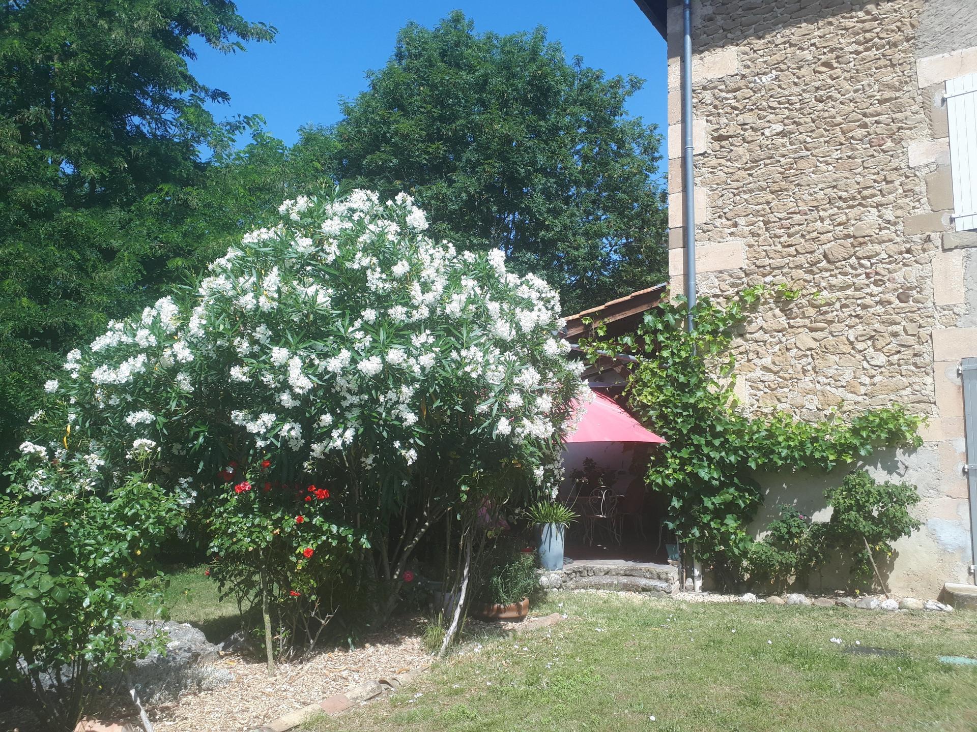 Photo 20 de l'annonce.