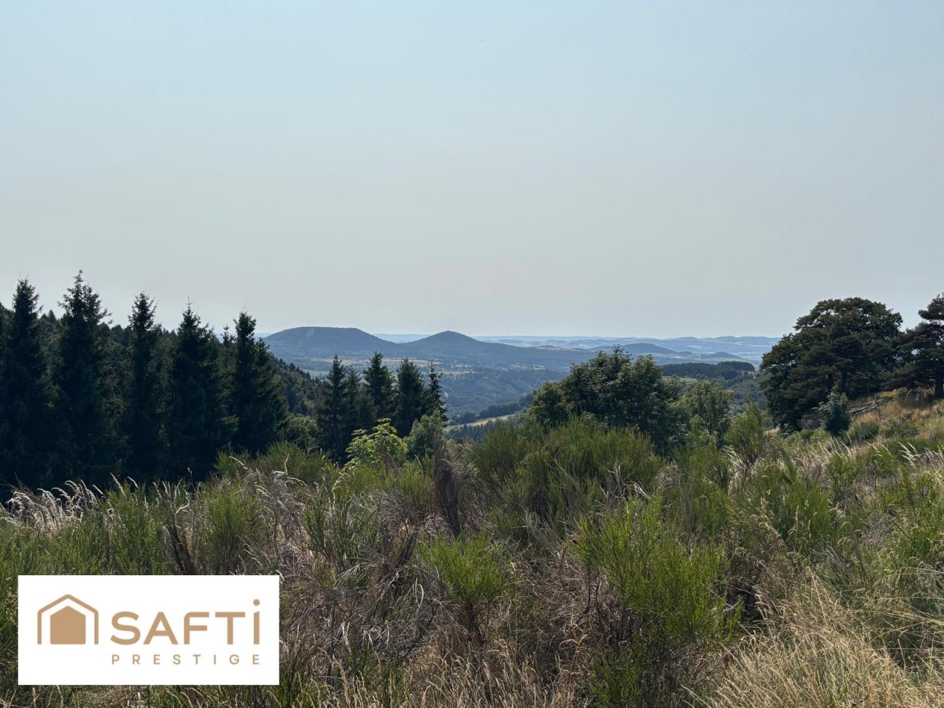 Photo 5 de l'annonce.