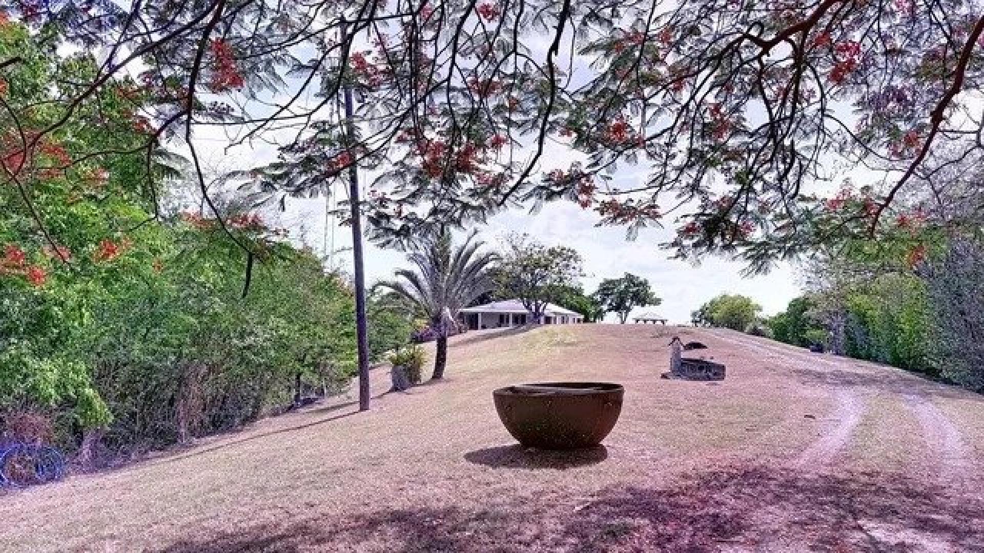 Photo 12 of the listing.