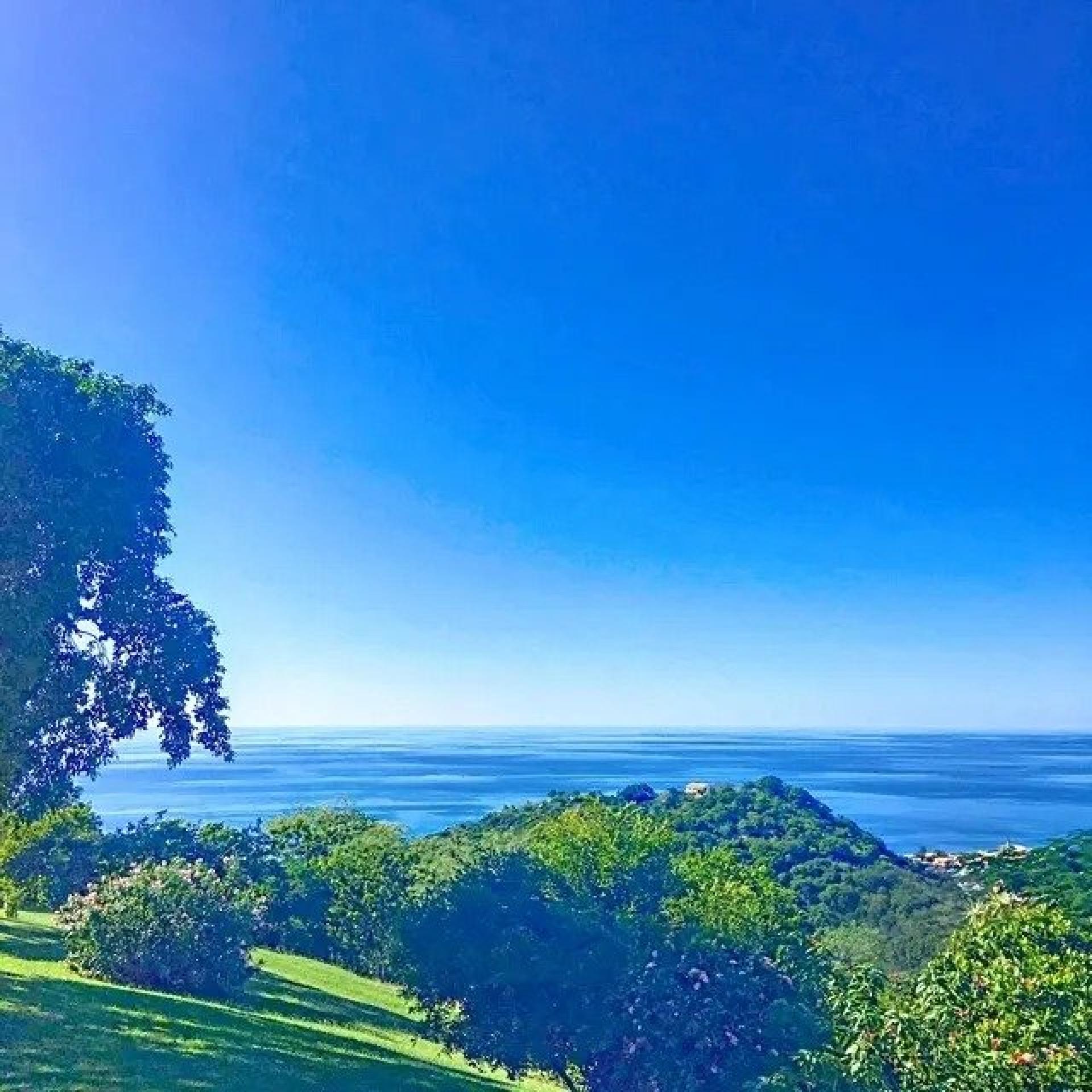 Photo 11 of the listing.