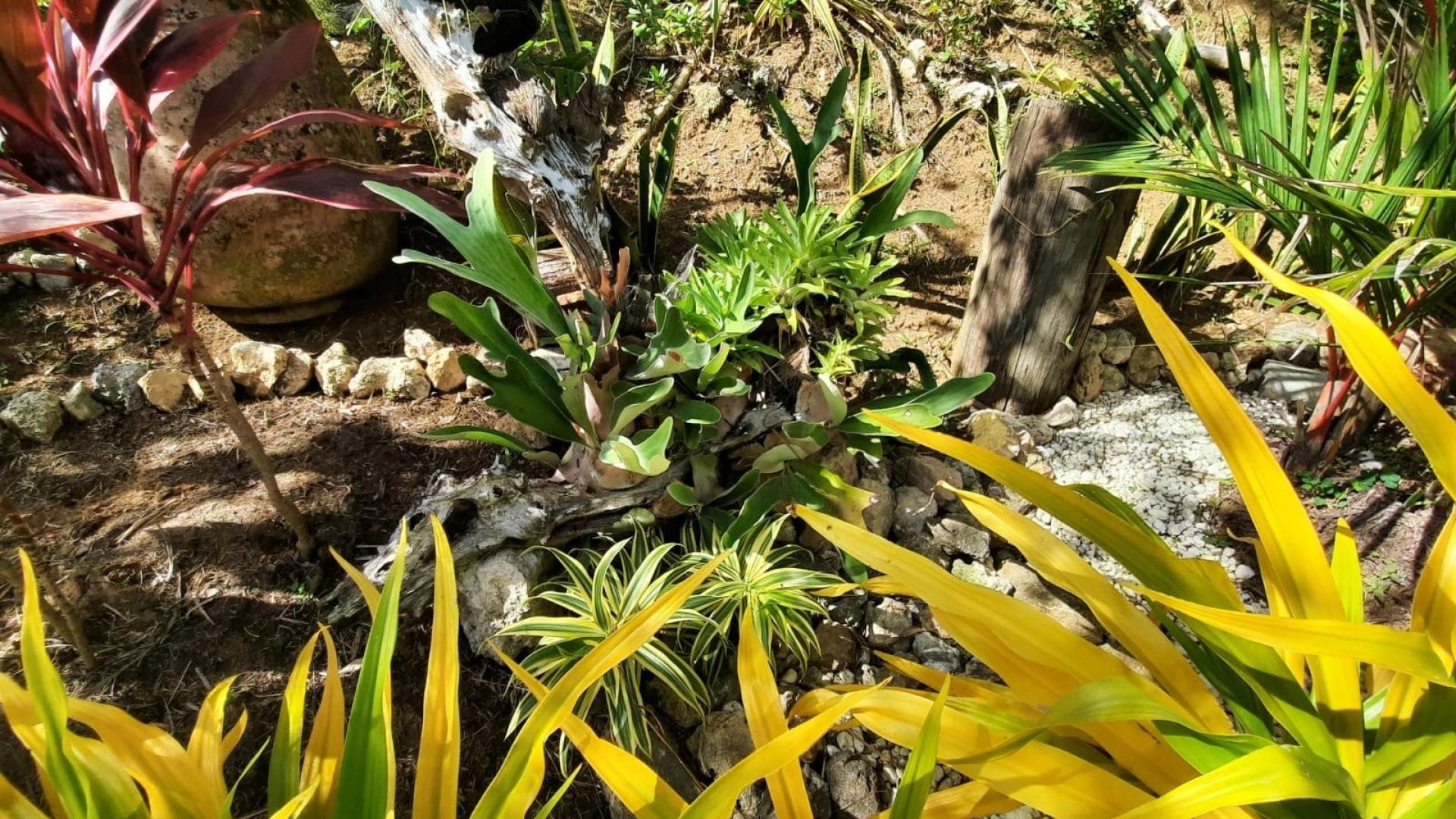 Photo 31 de l'annonce.