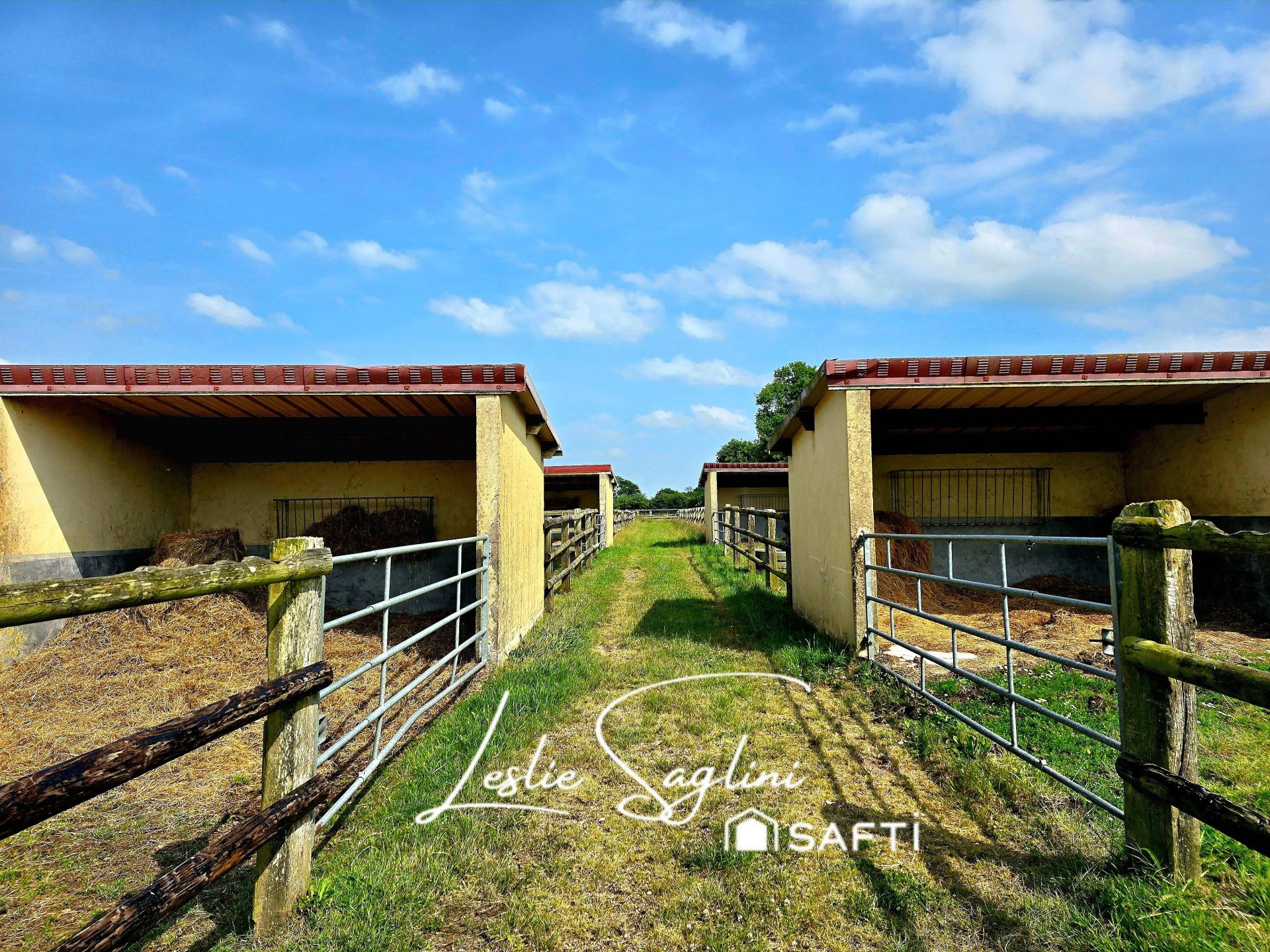 Photo 3 de l'annonce.